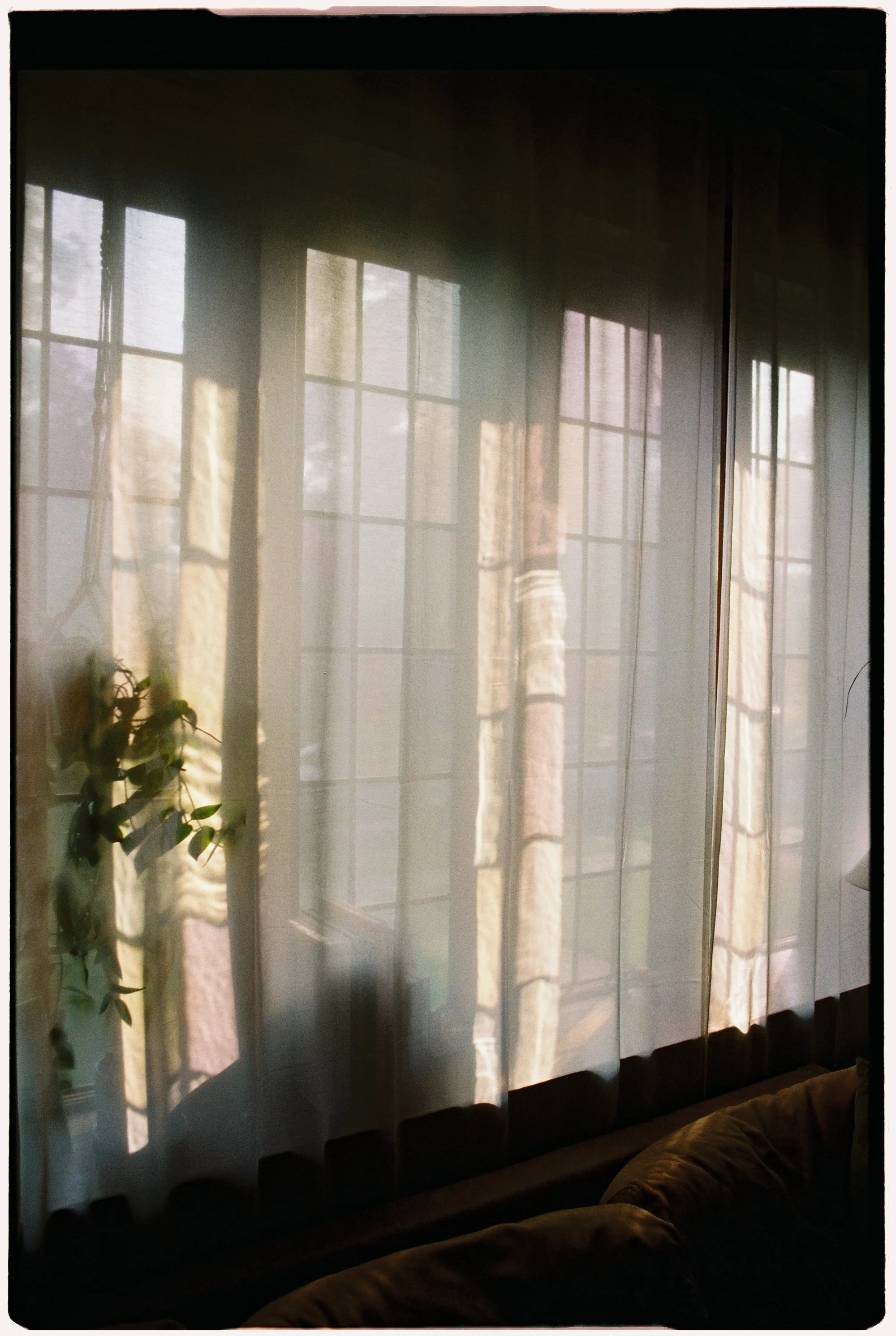 home-1.jpg