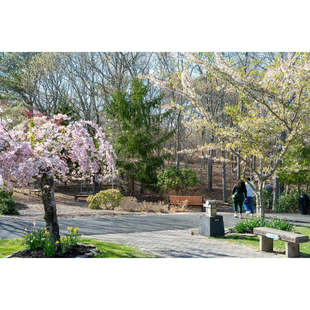 Memorial Bench (14).jpg