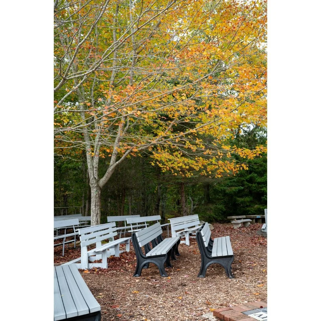 Memorial Bench (18).jpg