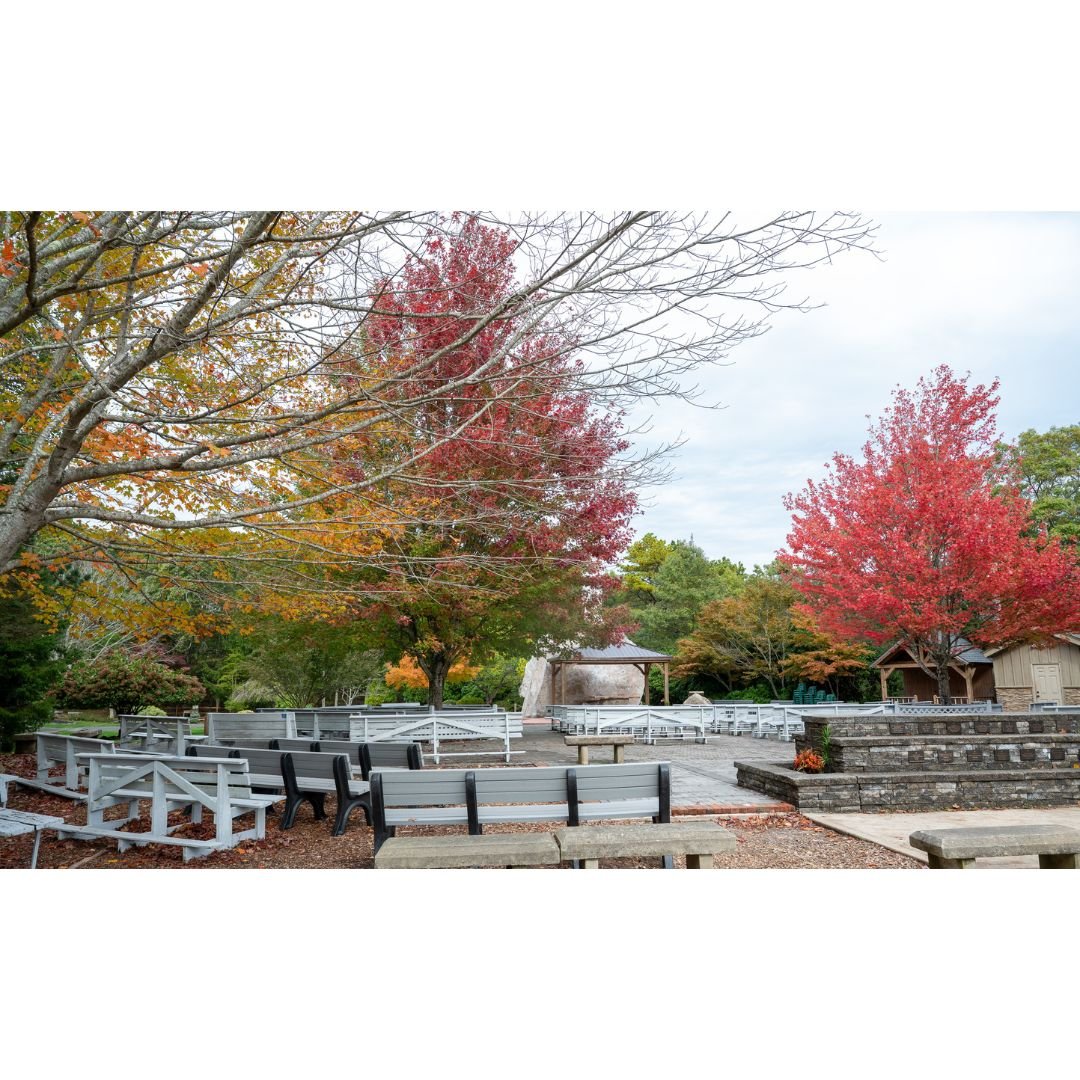 Memorial Bench (19).jpg