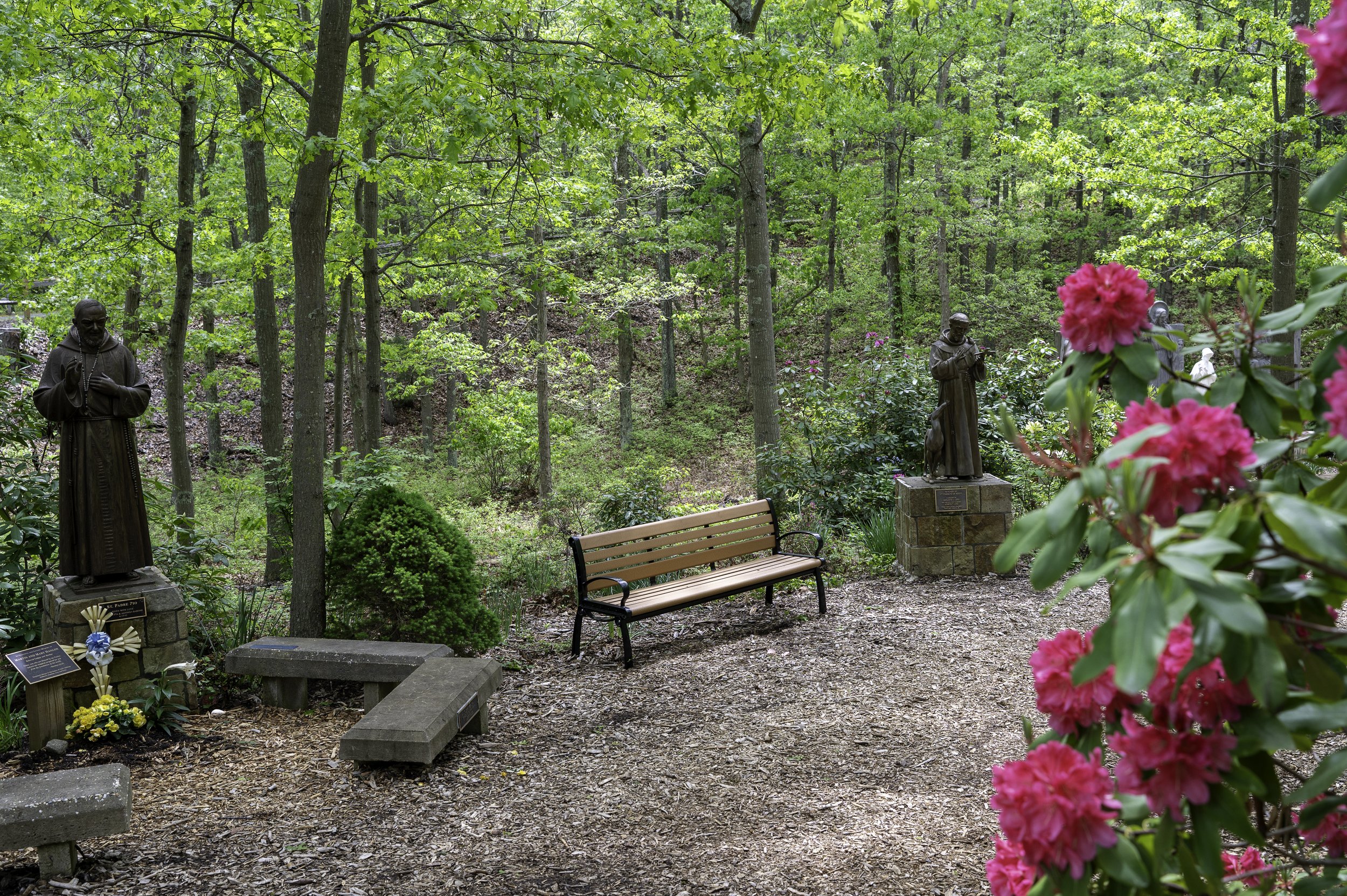 DSC_0261.jpg