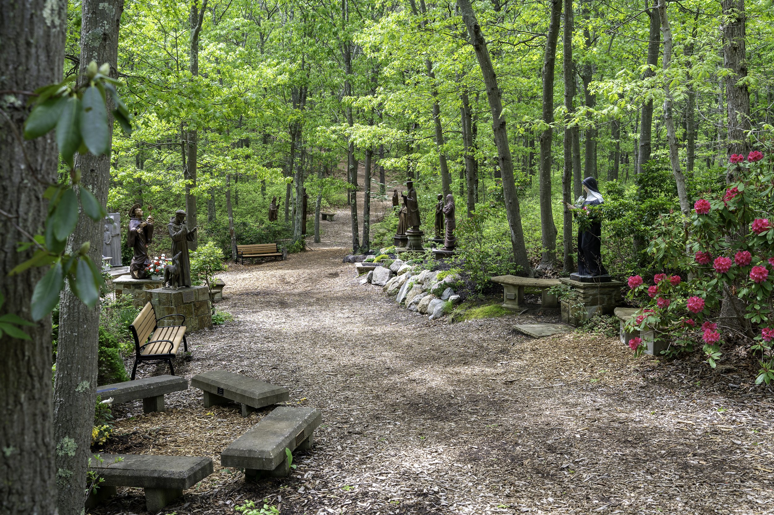 DSC_0268-Edit.jpg
