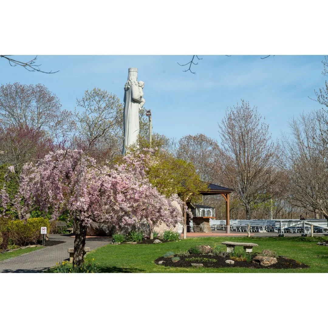 Memorial Bench (13).jpg