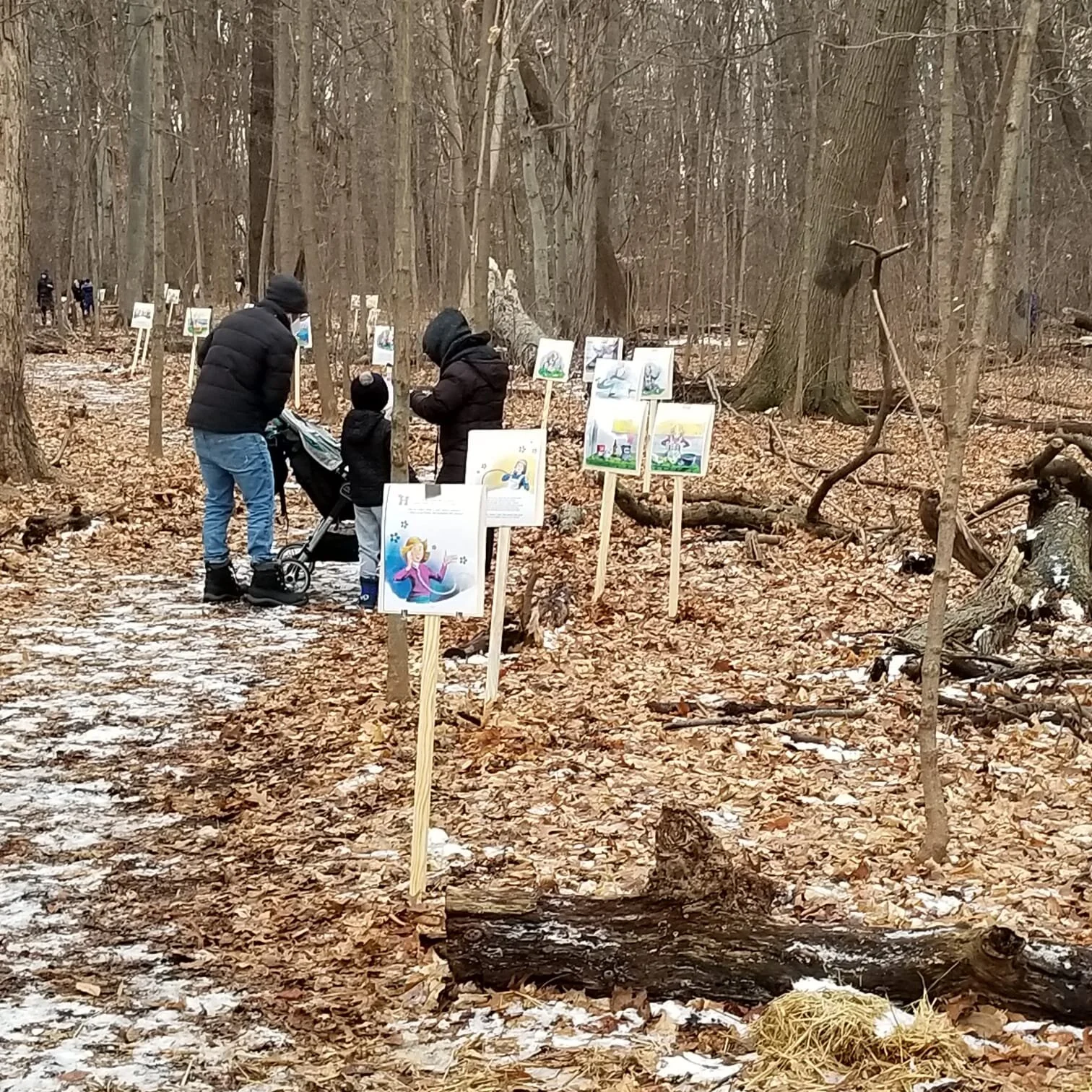 Story Walk