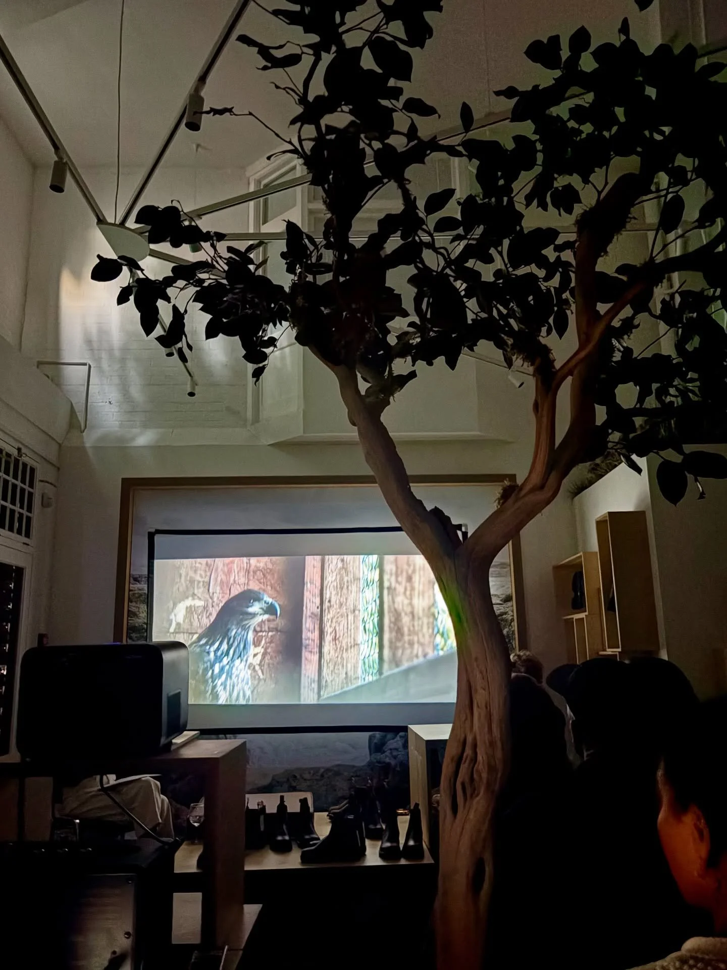 On Tuesday I headed up to the @blundstone_uk HQ for a special evening of films, conversation and tea. 

We screened several clips from the body of work I&rsquo;ve developed over the last few years about the uplands, culminating in The Pine Hunters. 
