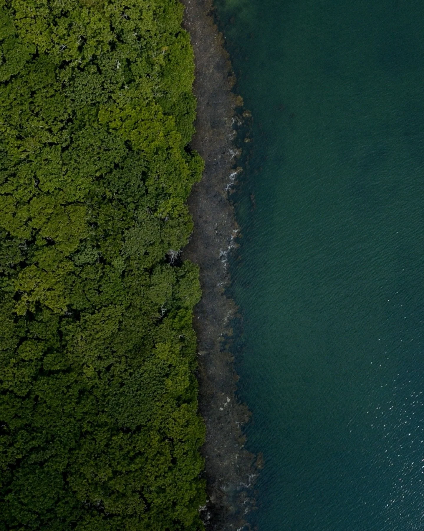 Buzzing for @kendalmountainfestival to kick off next week - and we&rsquo;re starting the festival in style 🌳🌊

Myself, @__louastbury &amp; @sambmanning will be on the @deuter Bothy stage at KMF basecamp on Friday morning, talking about trees, ocean