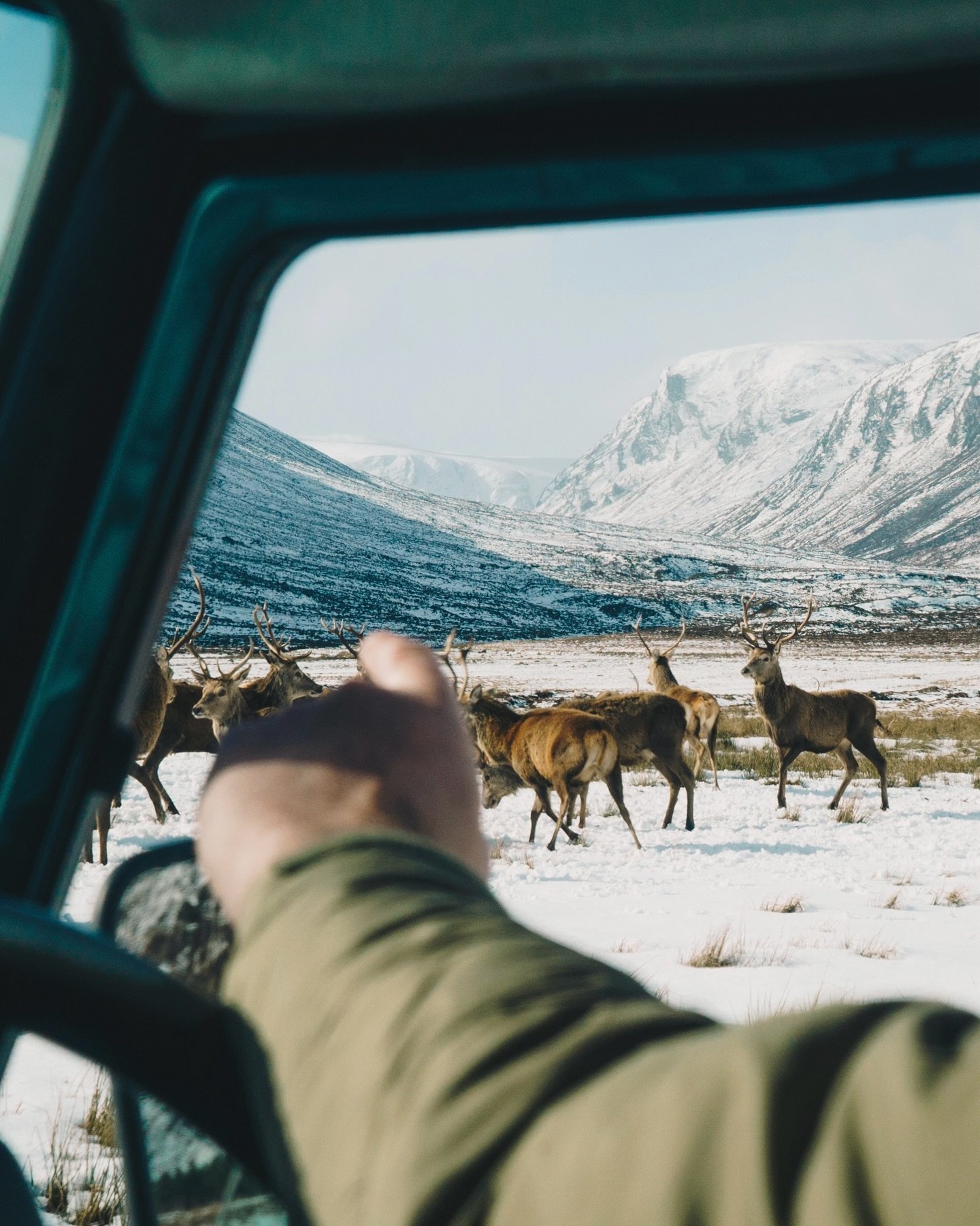 My first documentary, The Cull - Scotland&rsquo;s Deer Dilemma, about the debate surrounding land management and red deer in the Scottish Highlands, has made its way onto Disney Plus. 

When I started making The Cull, I had no idea that it would be m