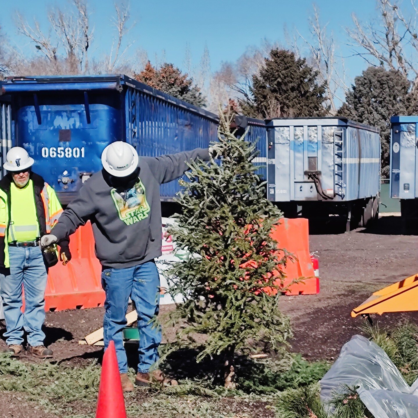 Get ready to say goodbye to your Christmas tree! 🎄👋The last day for Treecycling is on Sunday, Jan 7th. Remember to remove all lights, tinsel, and ornaments before drop off. And don't forget to grab your free mulch on the way out! 🌱 
.
.
.
#OneAlbu
