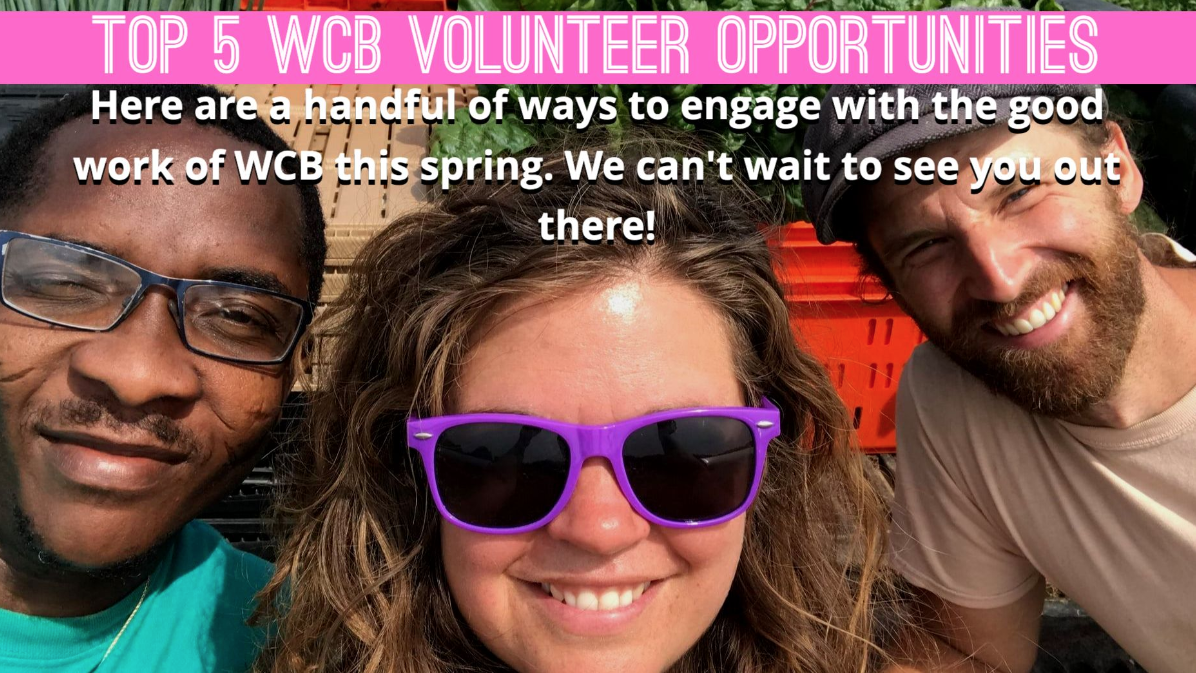 WCB Top 5 Volunteer Opps.png