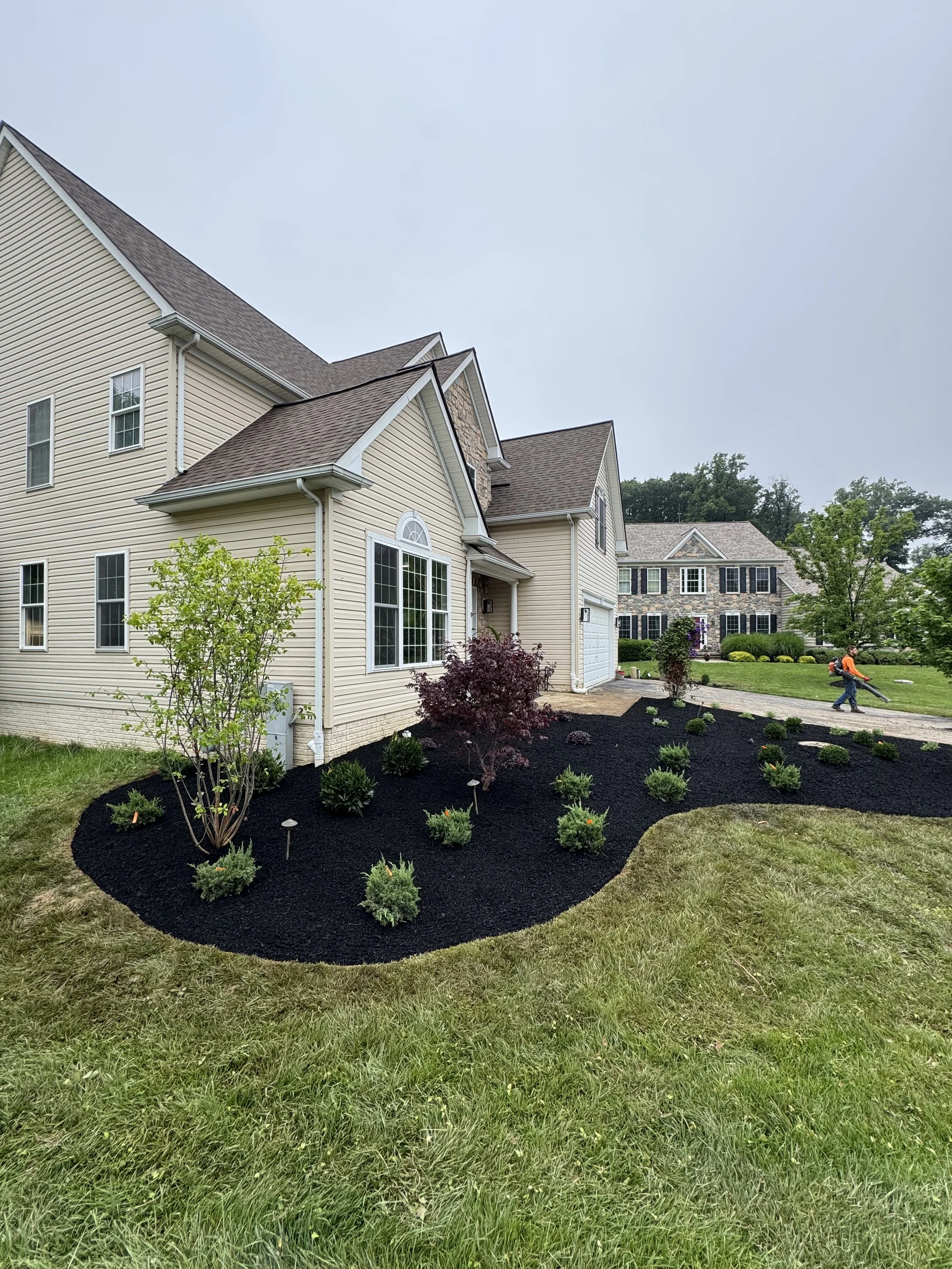 Front Landscape Transformation with Drainage Improvements in Columbia, MD