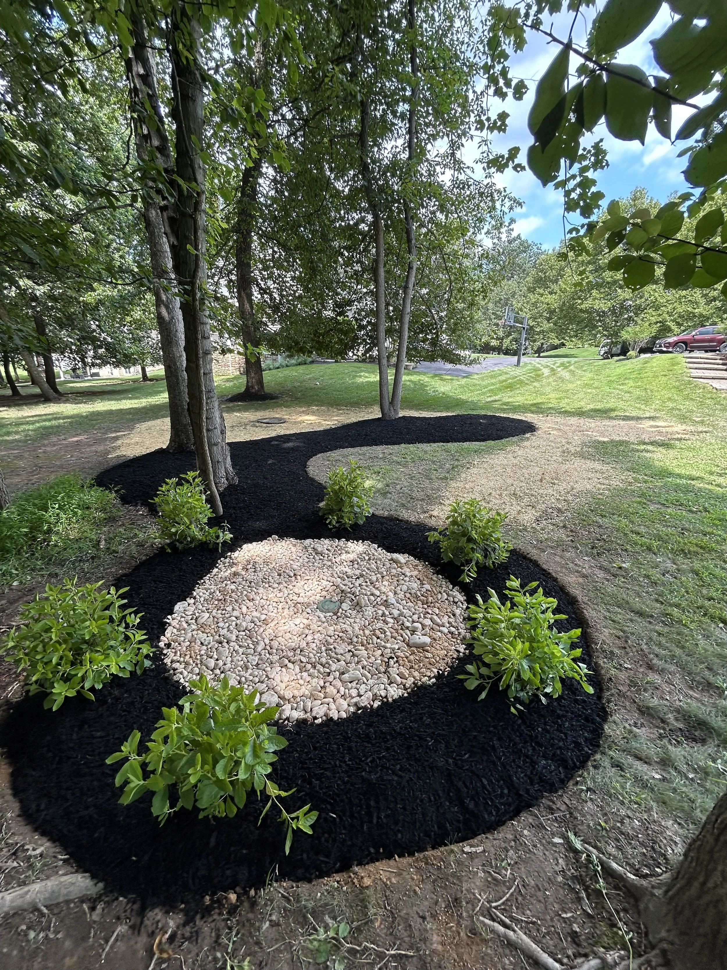 Comprehensive Drainage & Landscape Restoration in Ellicott City, MD