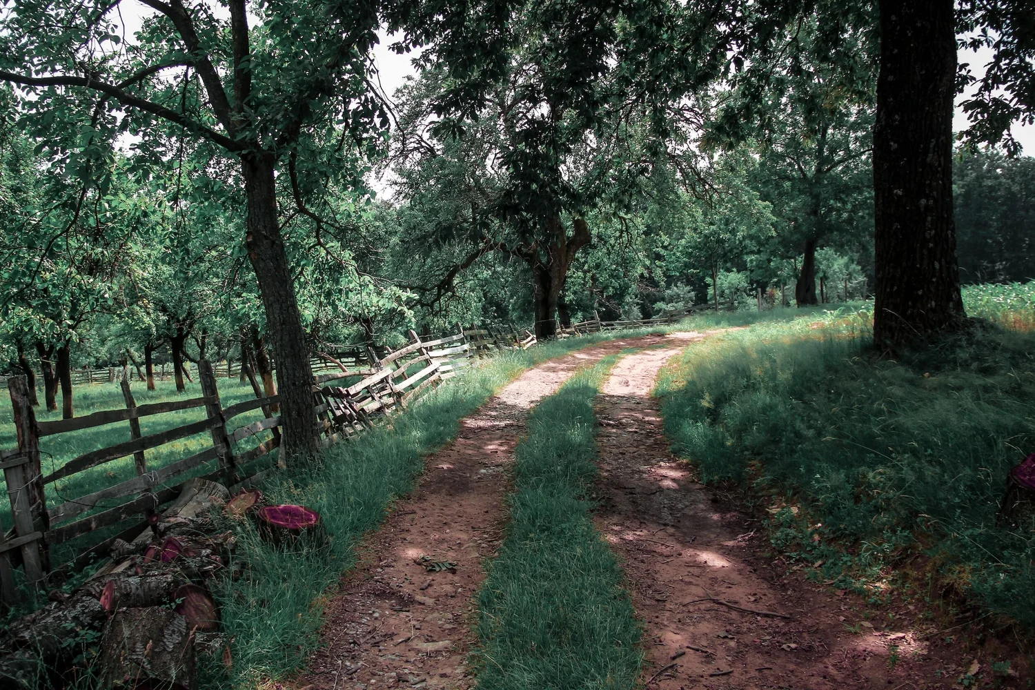 Hanover County, VA landscape — Build on Your Lot