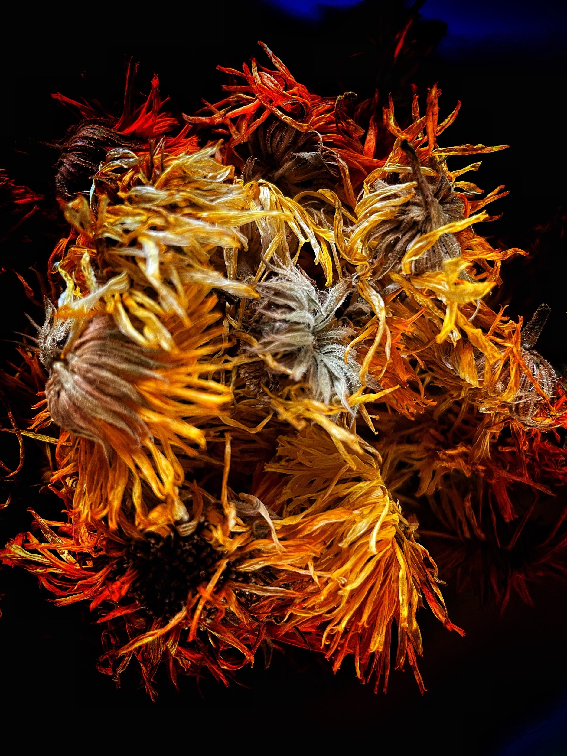 5E8393B6-58CE-43CF-8EC8-14037DFFD1C2.jpeg