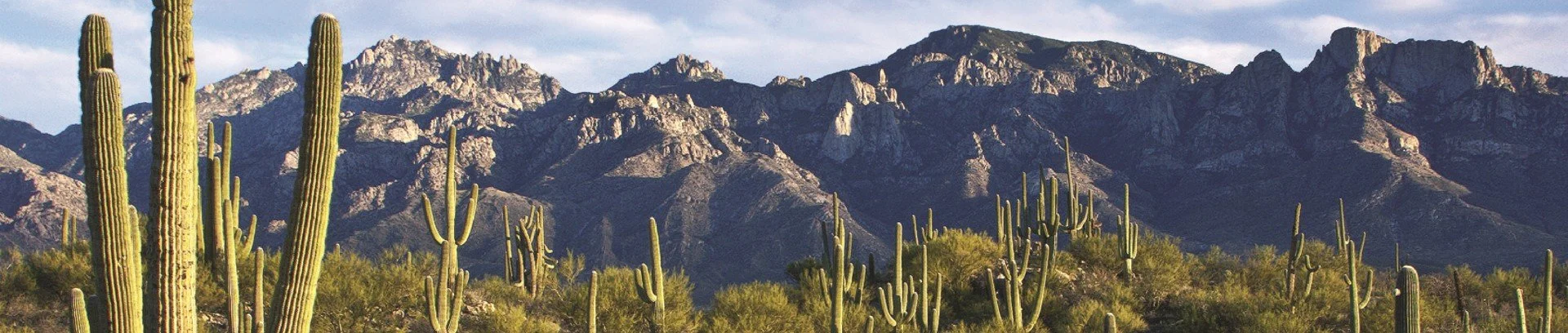 Future Conferences IRPS