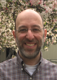 IRPS Management & Technical Committees — IRPS