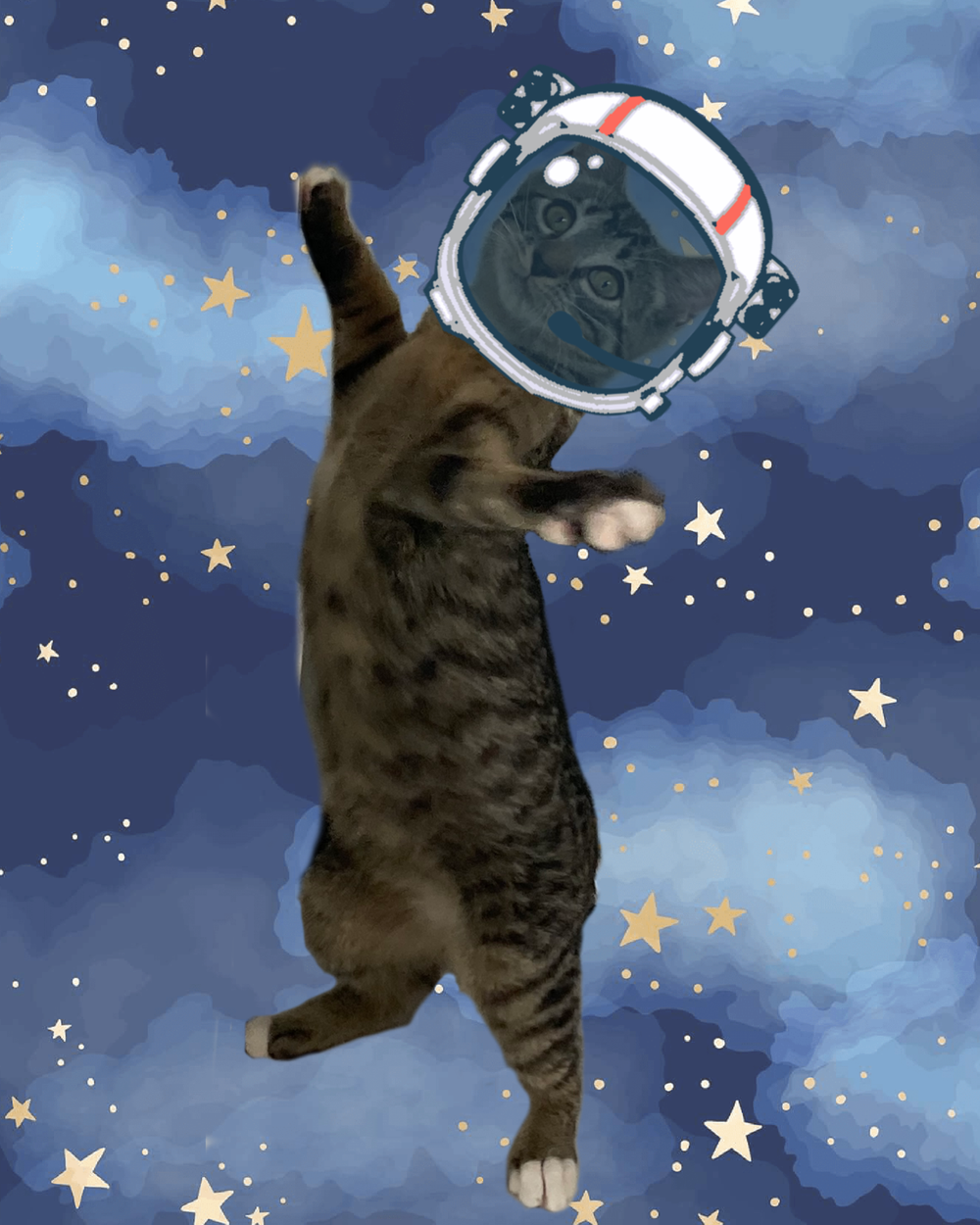 Jackson is an Astronaut.png