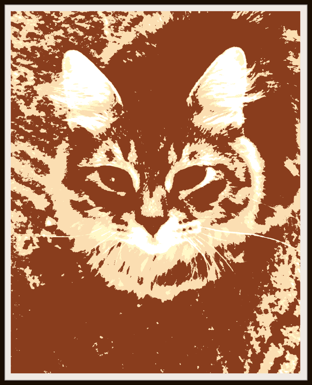 Poster Cat framed.png