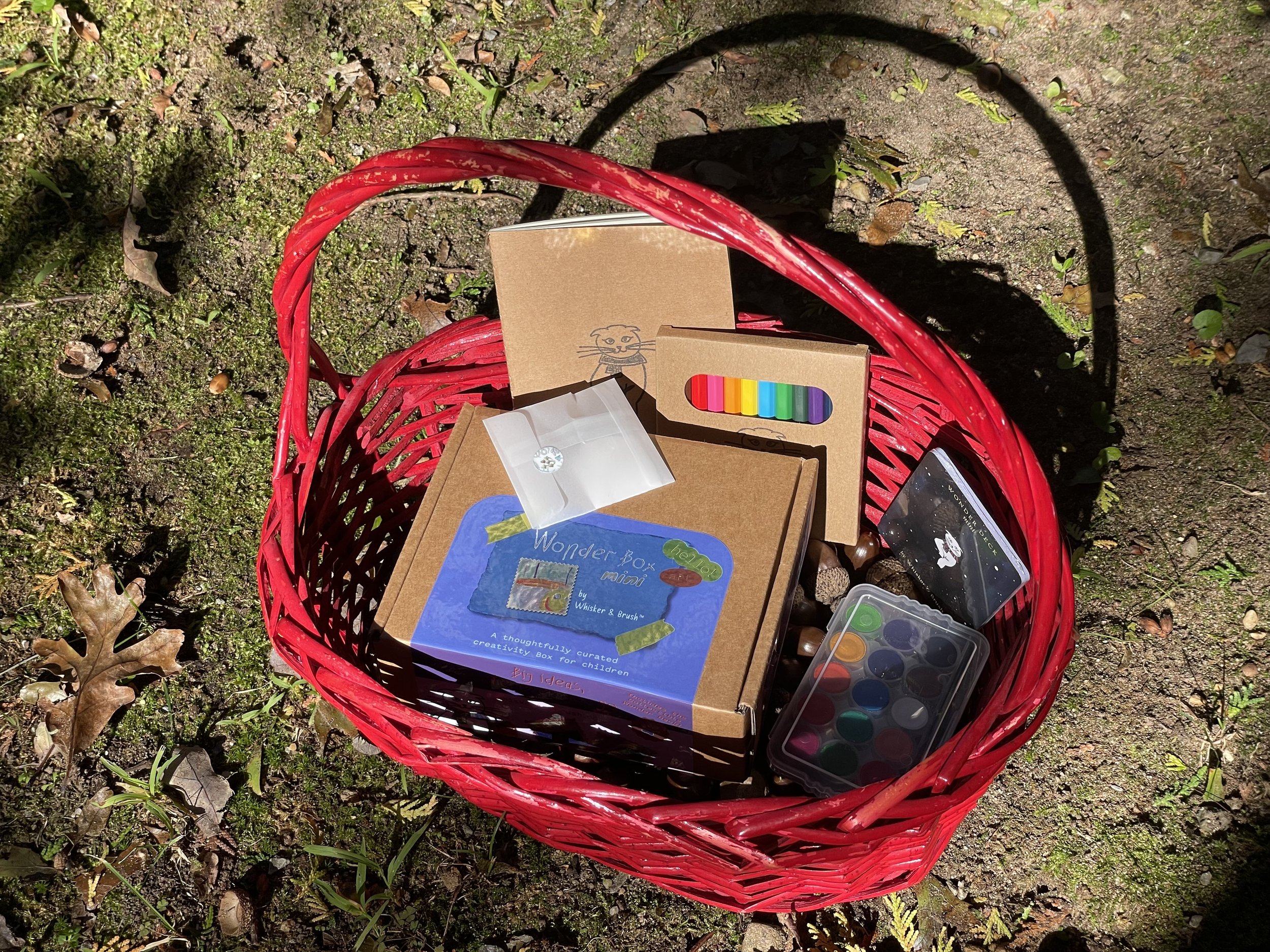 Wonder Box Mini