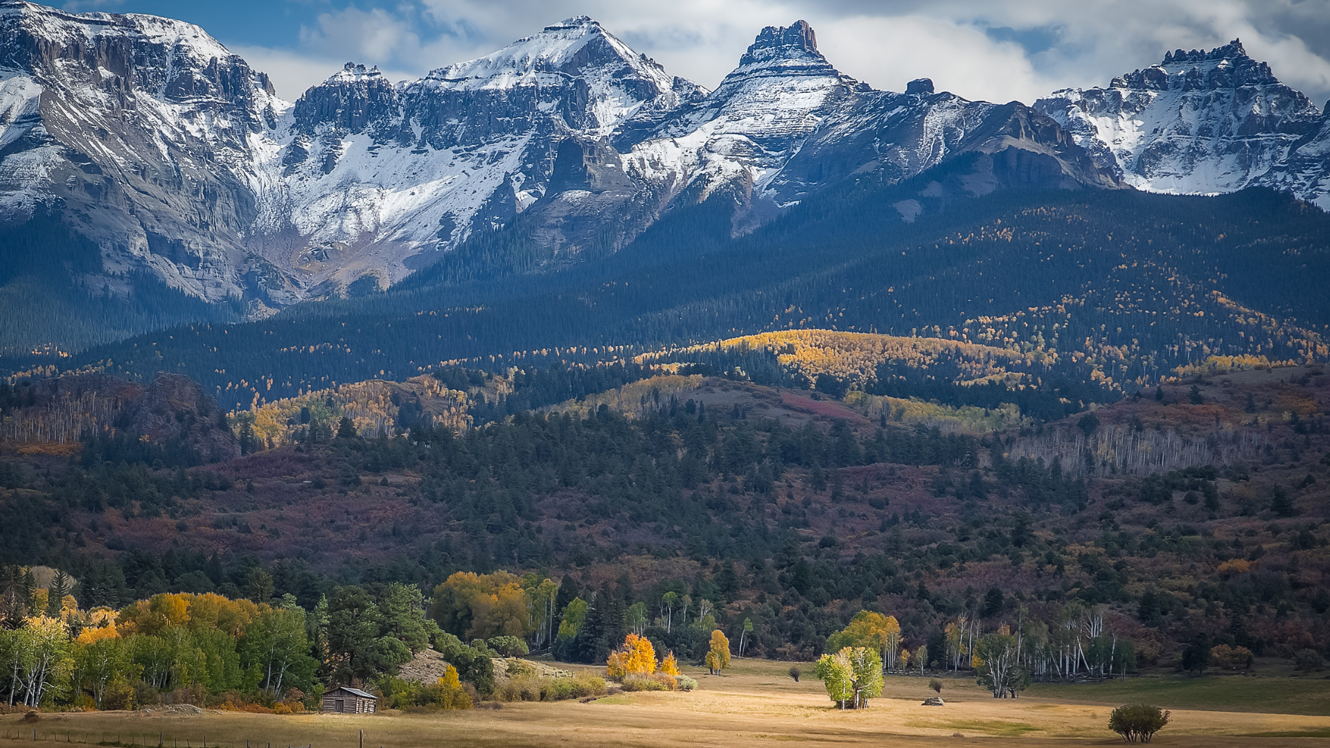 TLS- Colorado Rockies.png