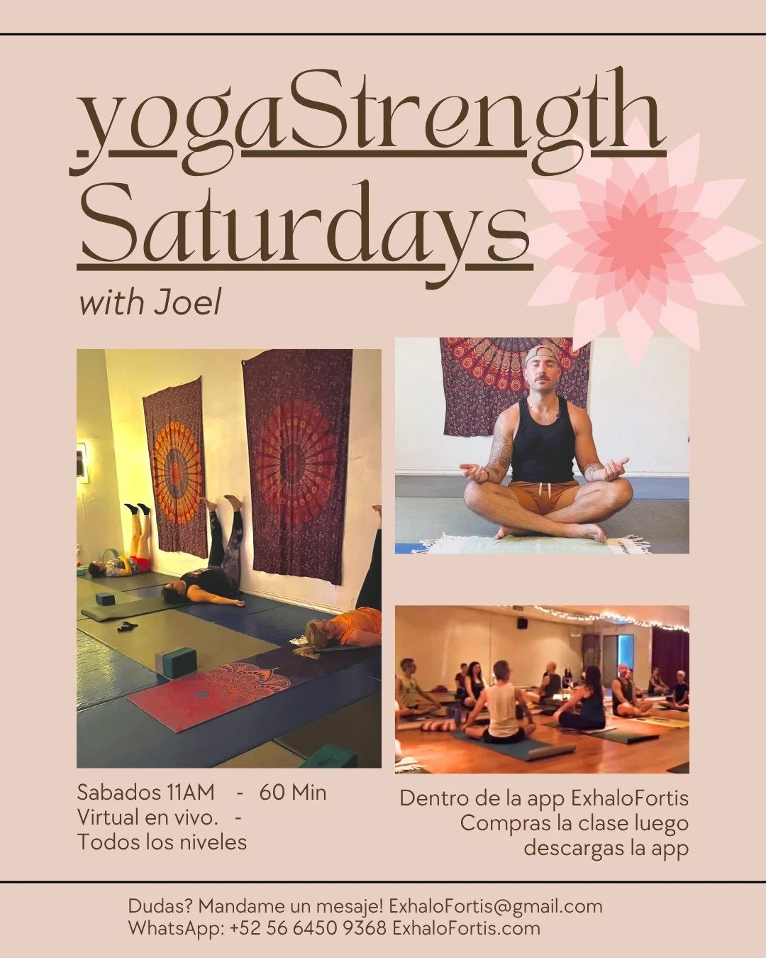 S&aacute;bados
10 AM ARIZONA ⠀
11 AM CUERNAVACA ⠀
12 PM CHICAGO

Una pr&aacute;ctica para fortalecerlo TODO: cuerpo f&iacute;sico, mente, emociones y esp&iacute;ritu. 🔥🧘&zwj;♂️
Con o sin equipo &mdash; &iexcl;t&uacute; decides! Pesas y bandas son o