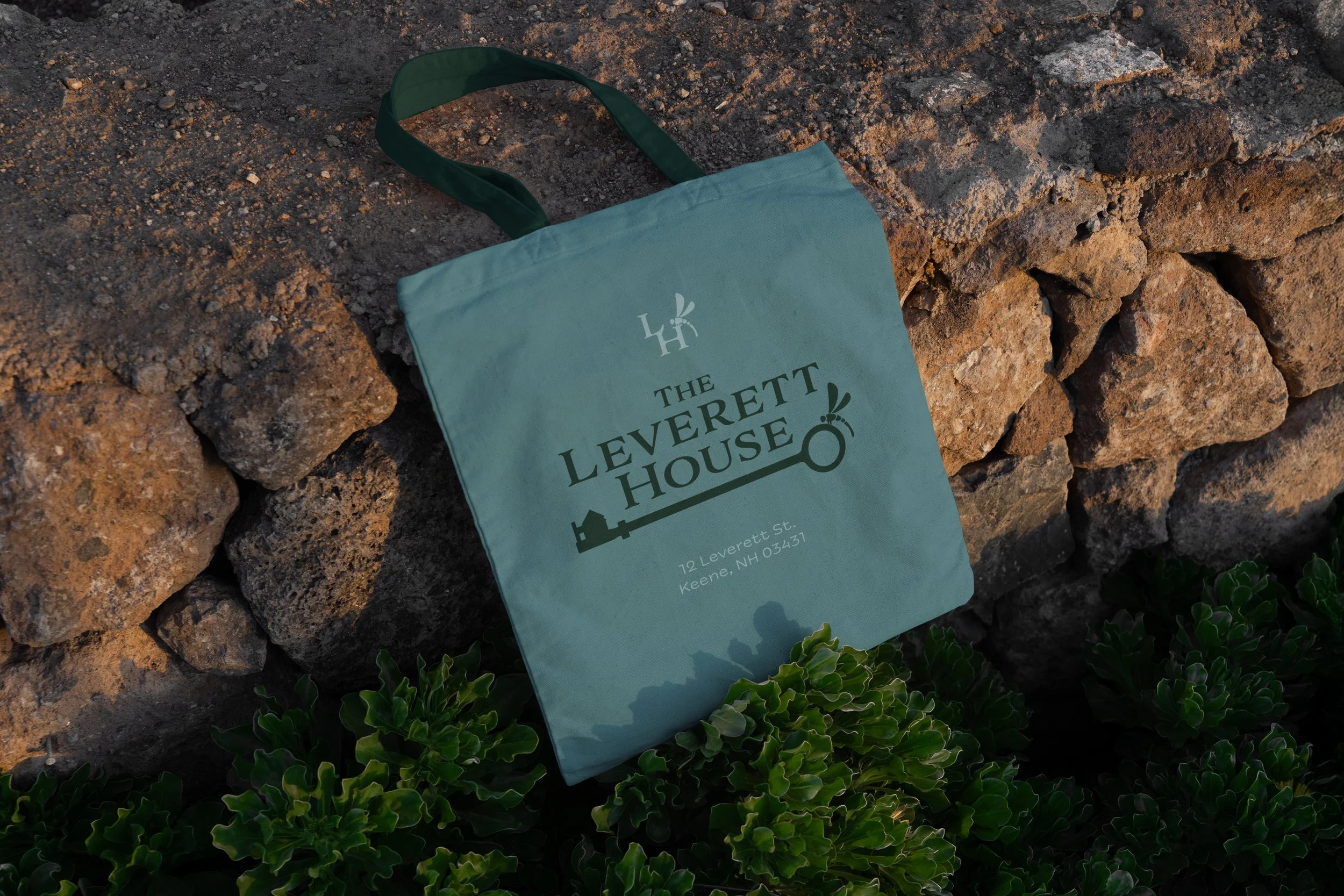 Free-Canvas-Bag-Laying-on-Stones-Mockup.jpg