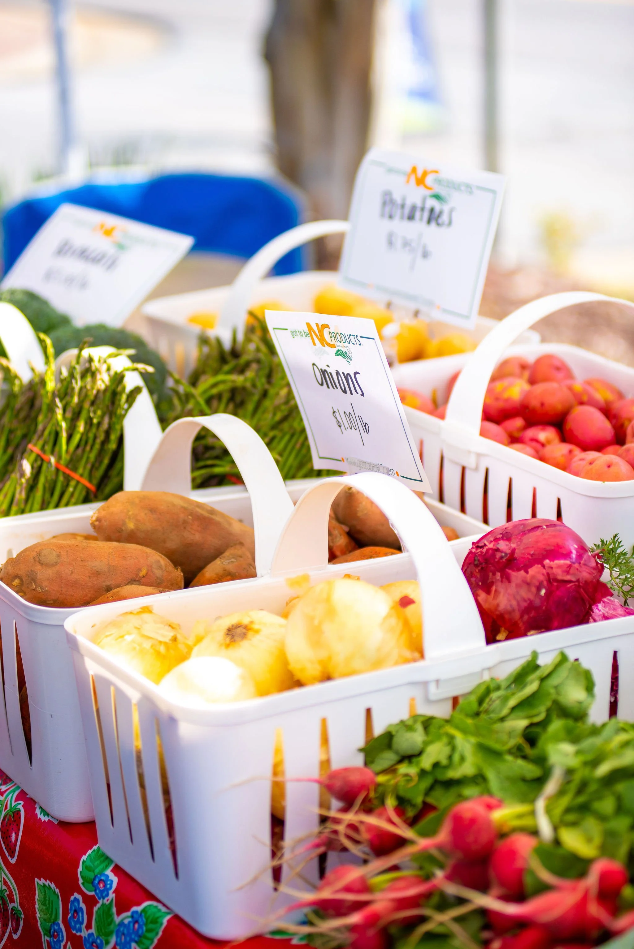 _DSC2230.jpg