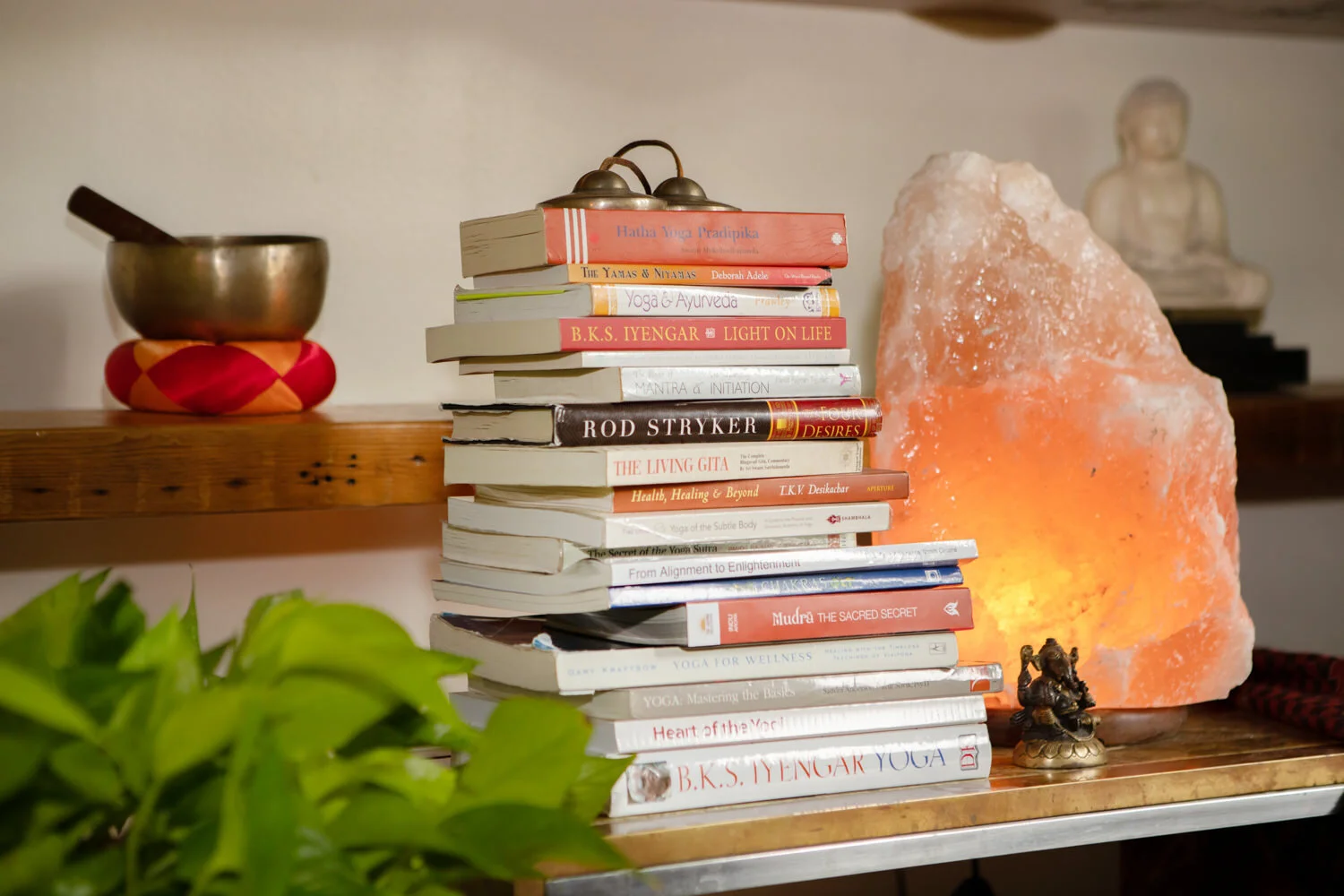 Yoga Studio Geneva, St Charles, Batavia, IL Prana Yoga Center