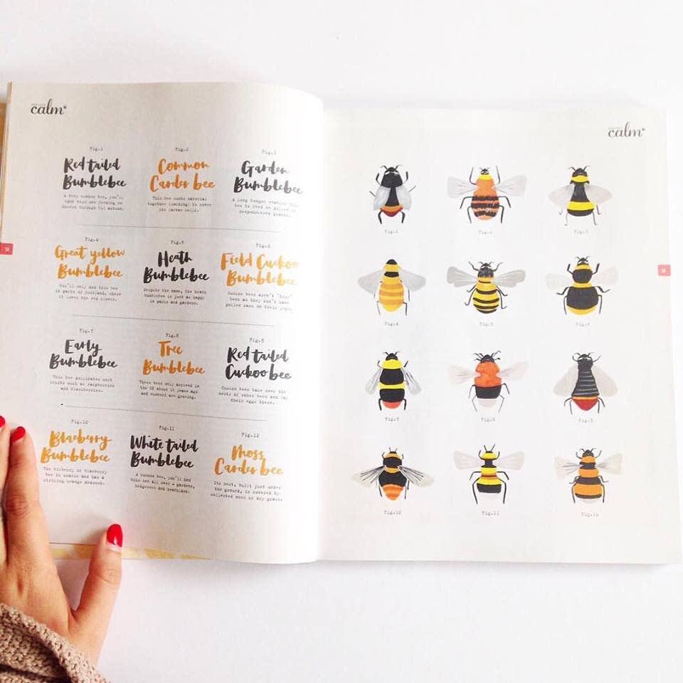  Illustration and hand lettering for British Bees editorial feature by Project Calm magazine. 