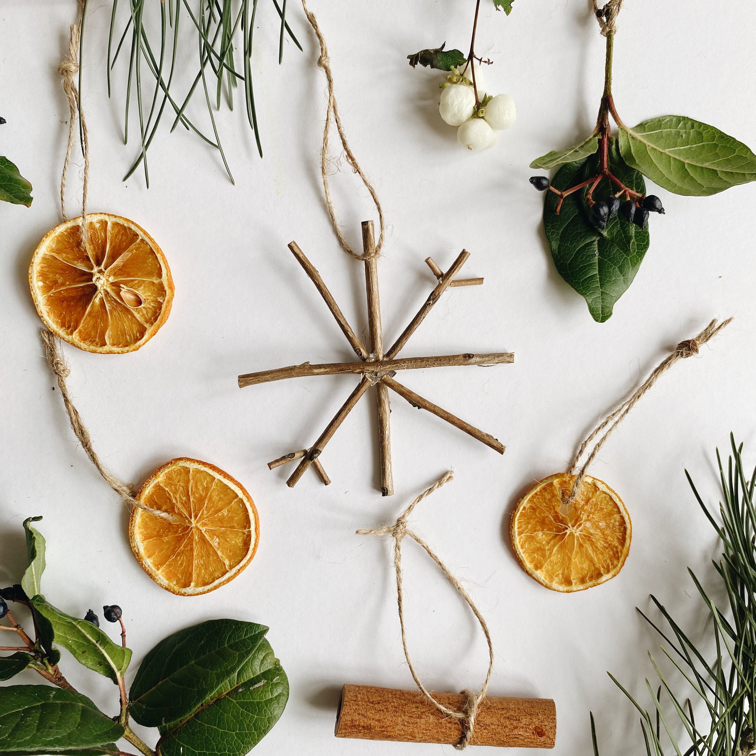 Sustainable Christmas Crafts - Natural Decorations — Becki Clark