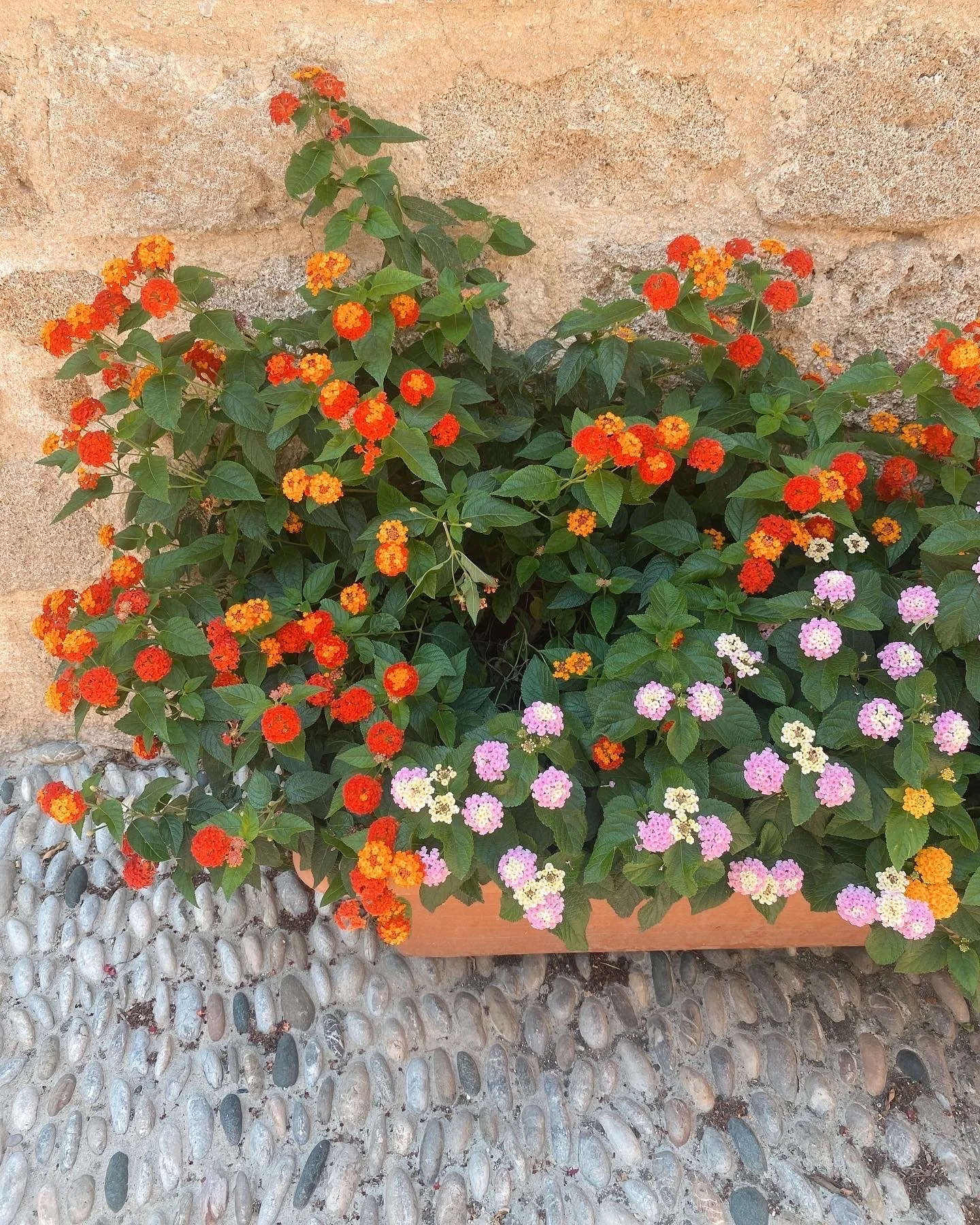 Download a Summer Joy List