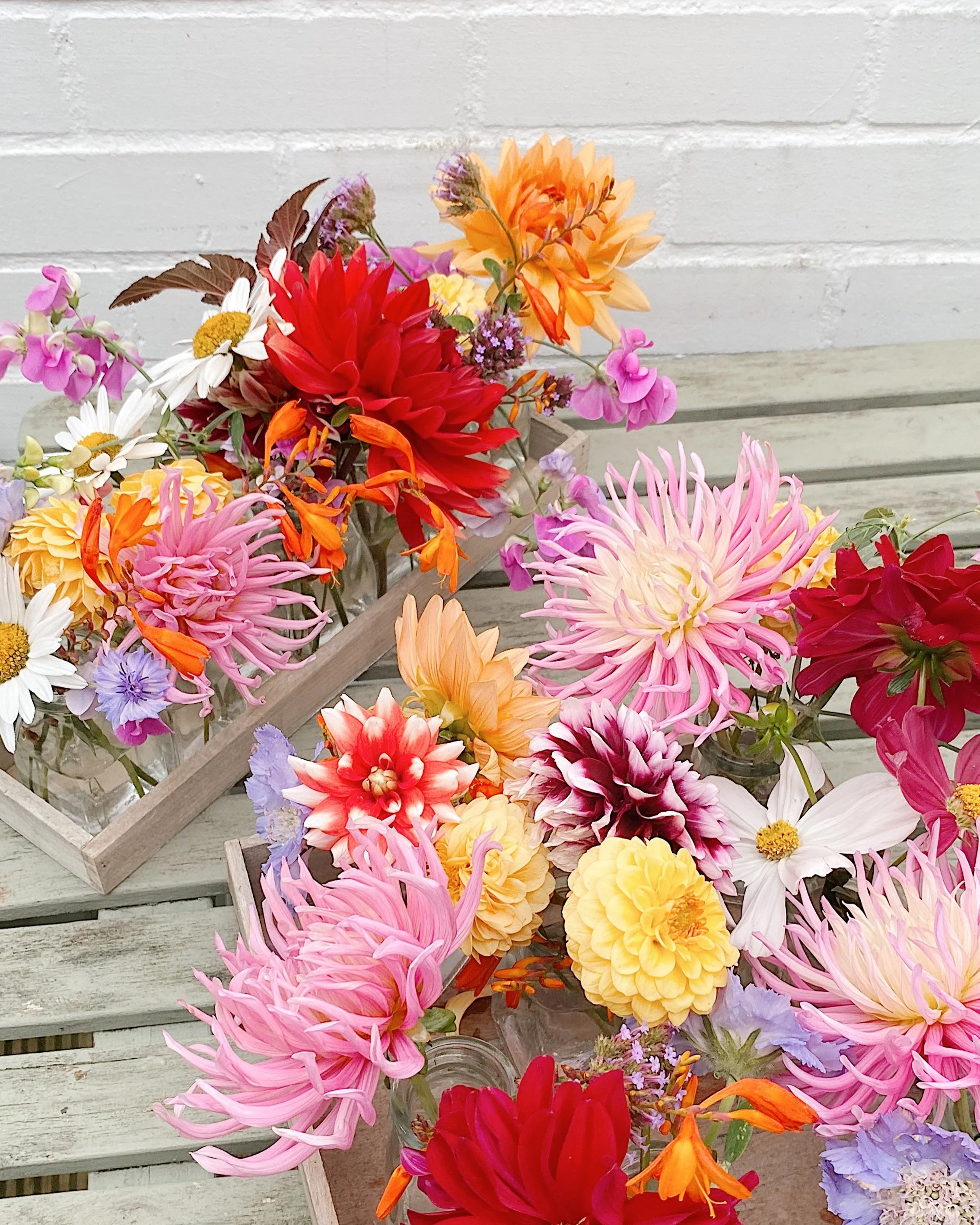 Seasonal Musings from the Studio - August