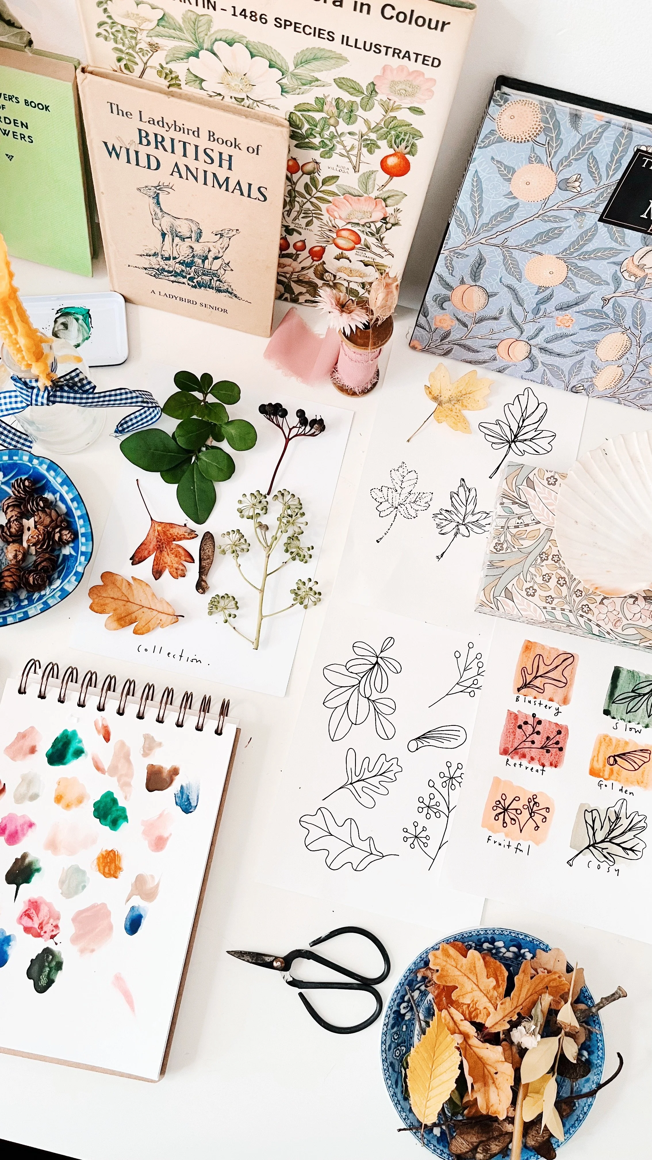 How Nature Journaling helped me to embrace Winter