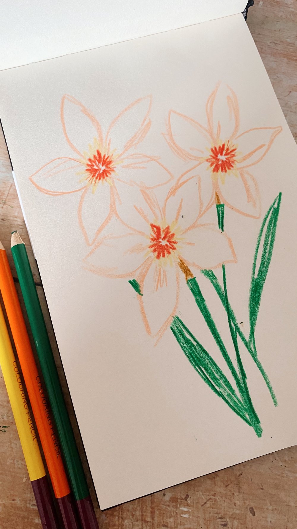 Sketchbook_daffodils.jpg