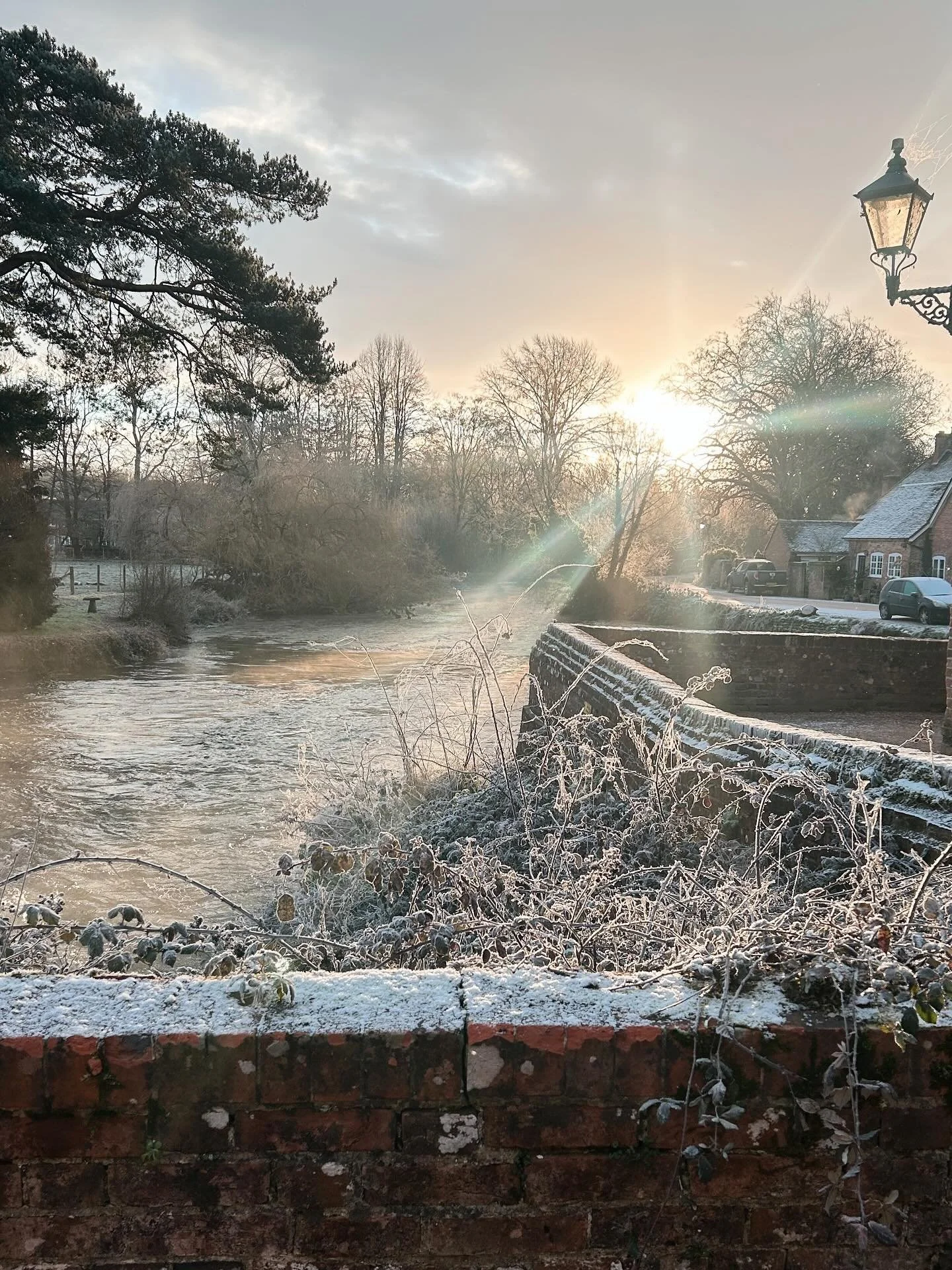 Nice things from this week 💫 Frosty walks, Red scarfs and jazzy sunglasses, Brambly hedge, lots of sketchbook painting &amp; lunch and play dates with pals 🌿