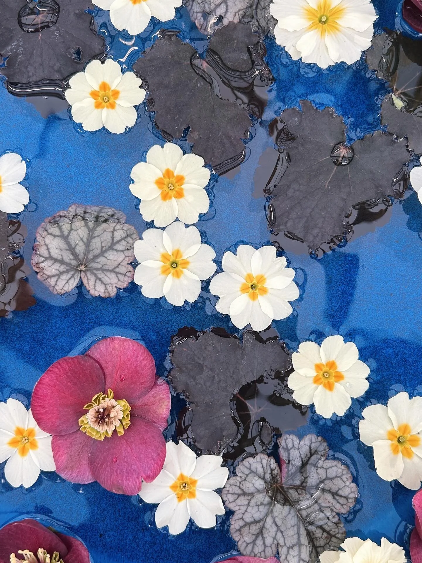 Nice things from last week 🍃 Garden centre joy, matching with my bambino, scrunchie sewing, pretty flowers from a pal, jazzy pattern combinations and bulbs flowering 🌿