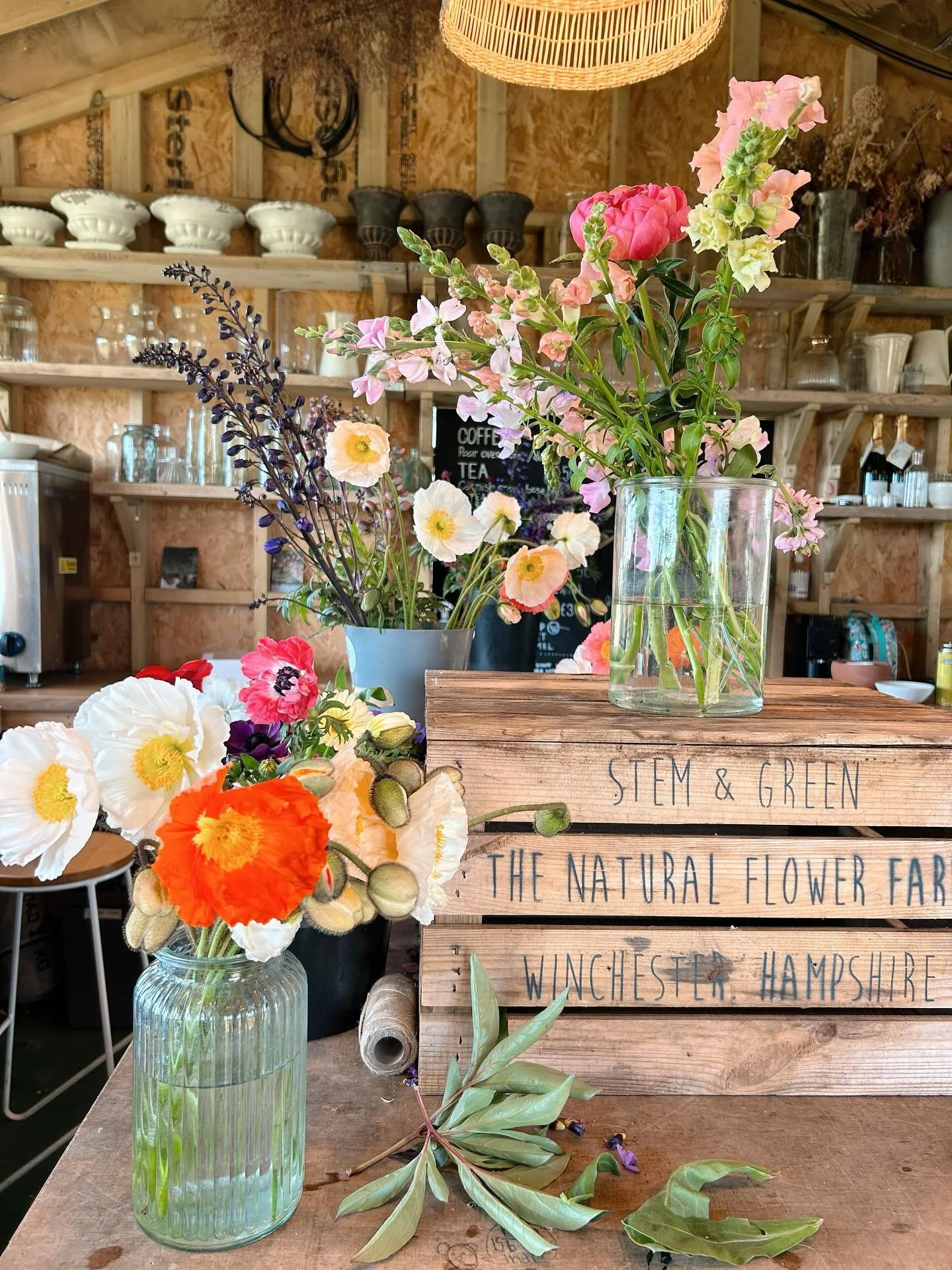 Excited to be back in the field of @stemandgreen next month for a Pick &amp; Paint workshop 🌿 Join me for a creative morning picking a bucket of seasonal flowers and learning how to paint them with watercolours, head over to @stemandgreen website to
