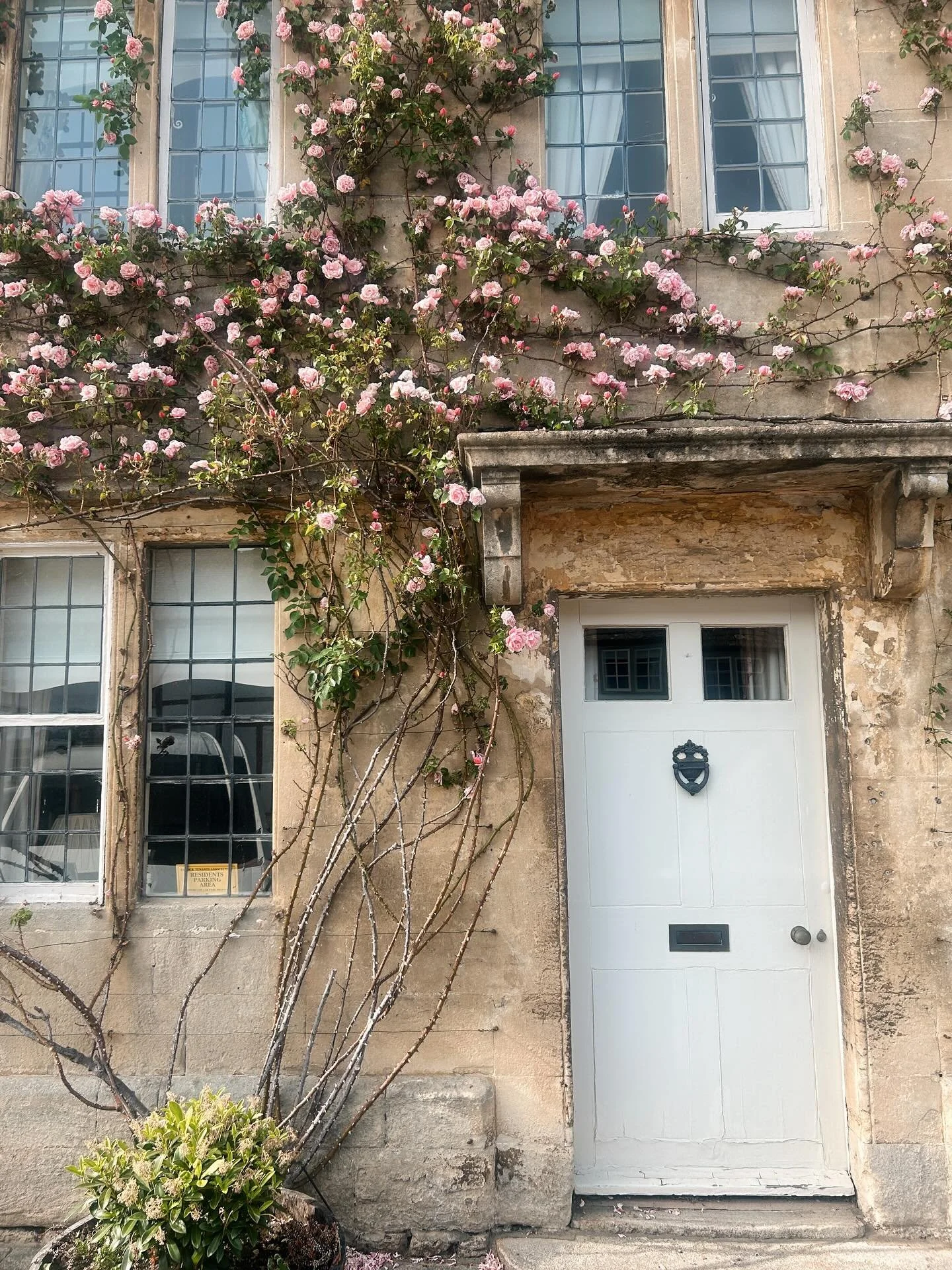 A sunny Saturday exploring Bowood Woodland gardens &amp; Lacock, with lots of floral inspiration 🌸💫