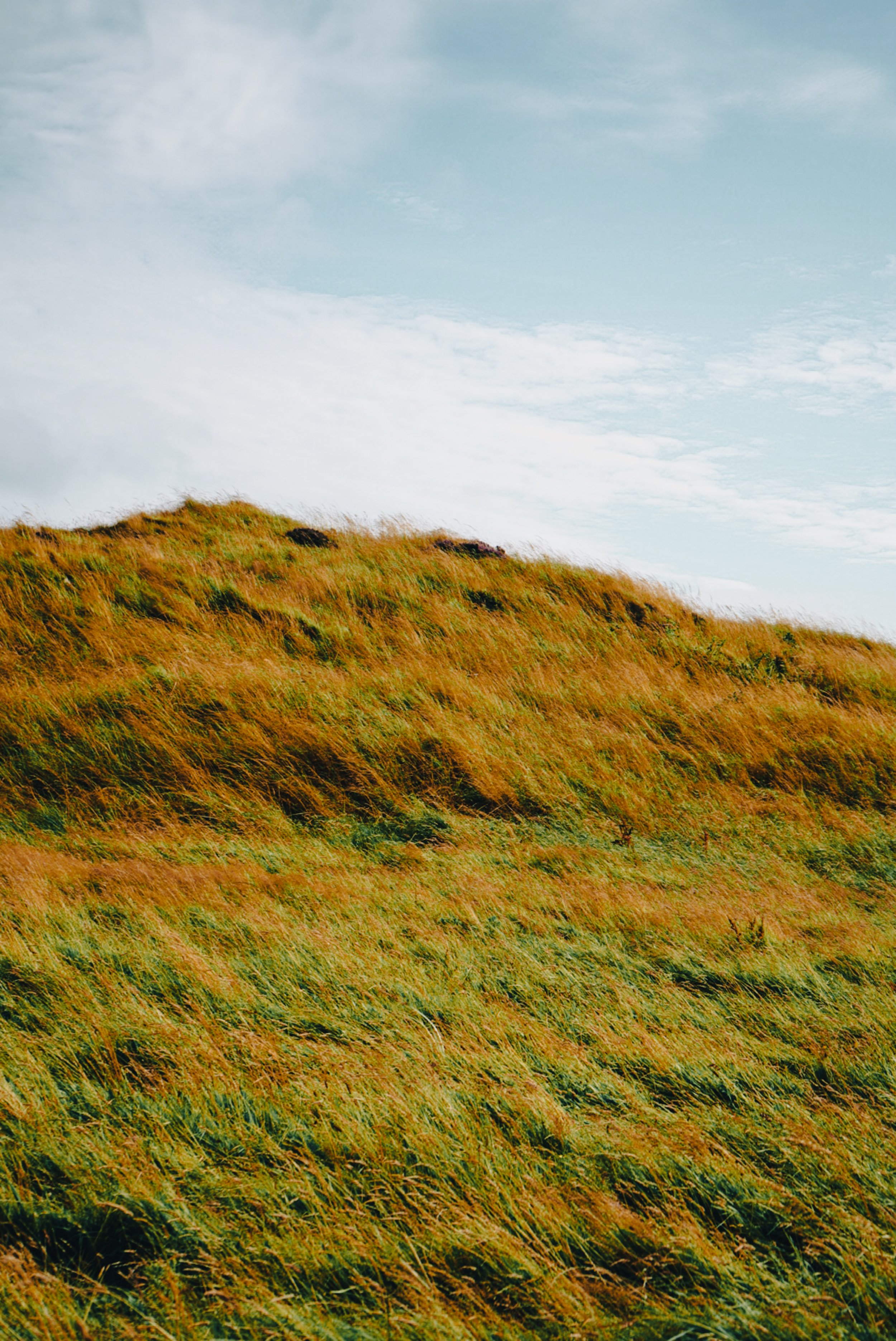 islay-4.jpg