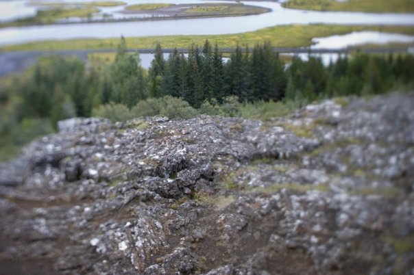 Volcanic Rock at the Thingvellir, site of the first Icelandic Parliament in 930 AD