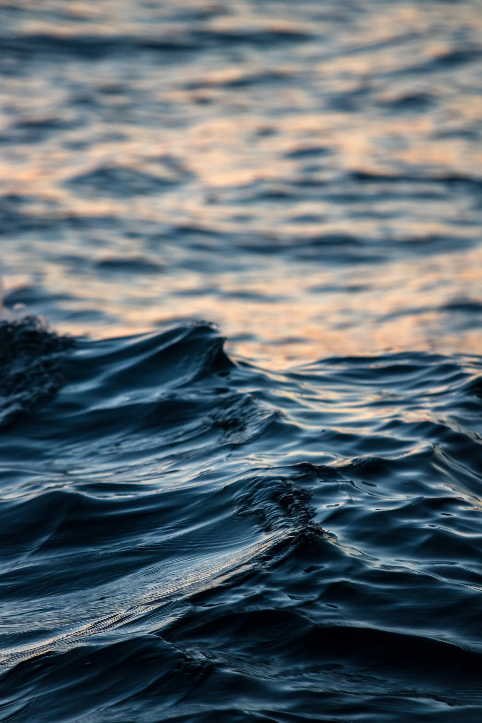 unsplash-image-andxLi4Kv8w.jpg