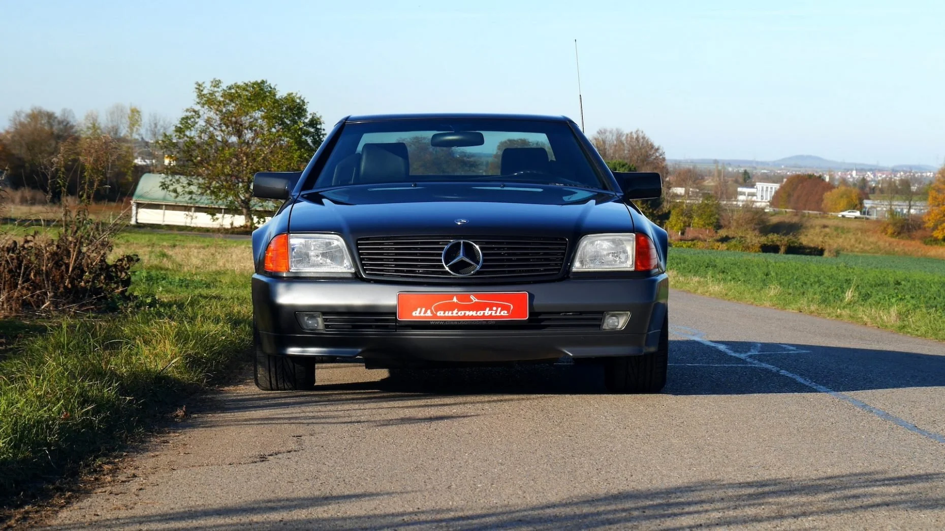 P1150176-930x523@2x.jpg