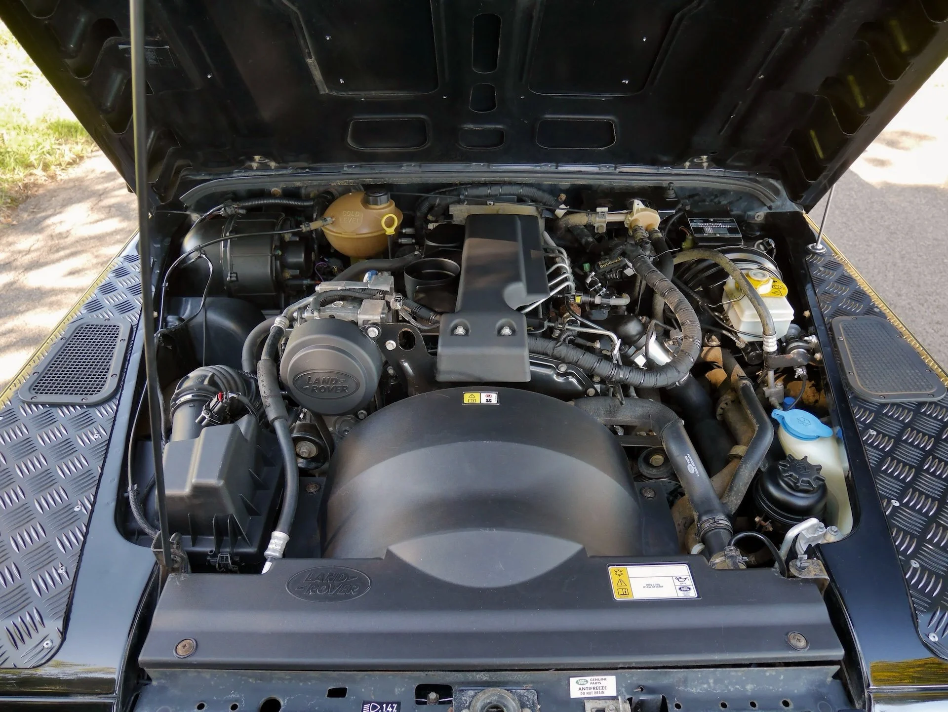 P1480366.JPG