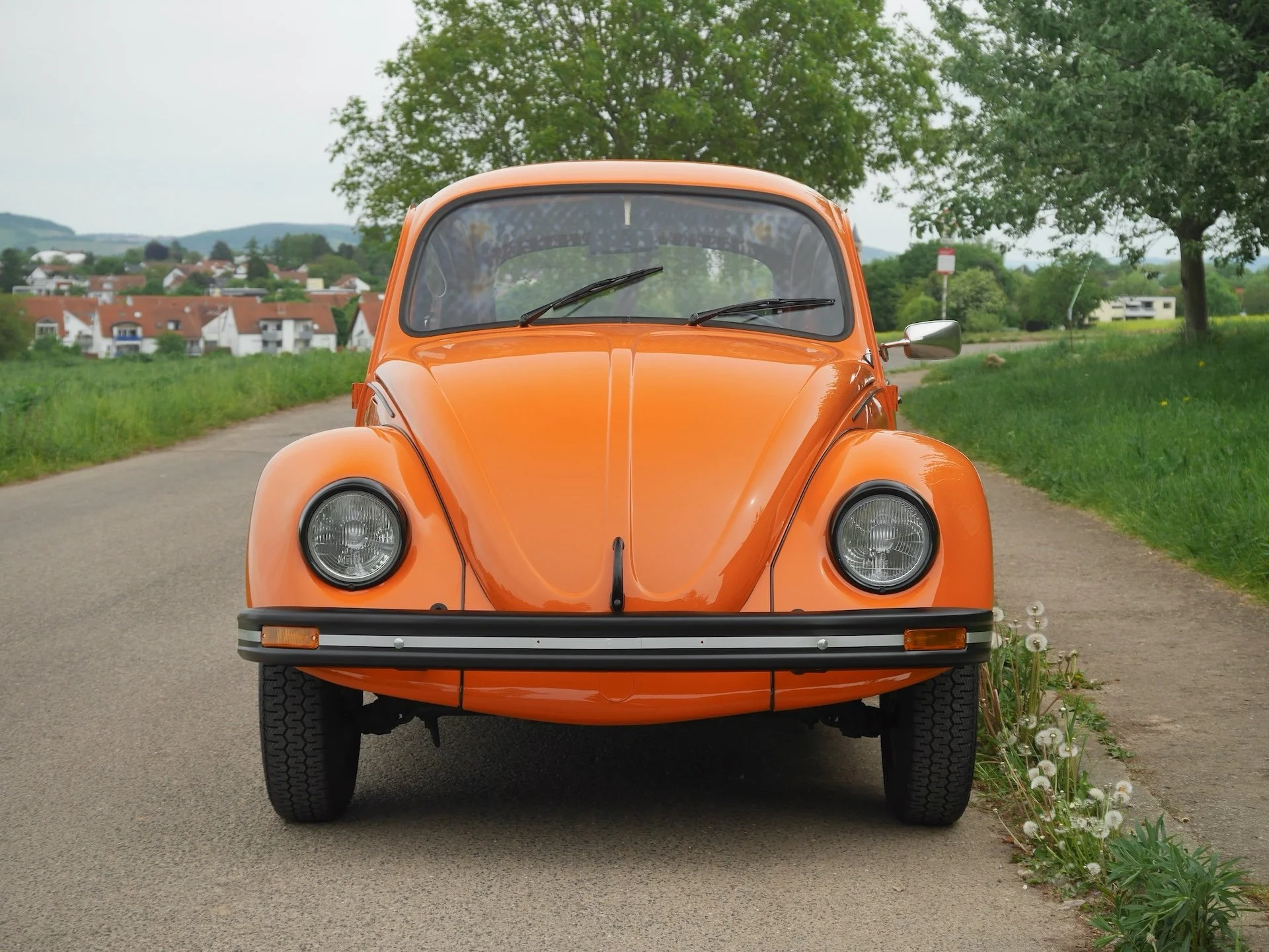 P1440050.JPG