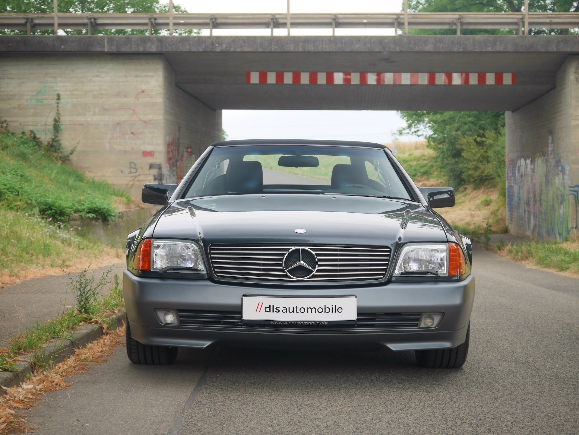 P1460335.JPG