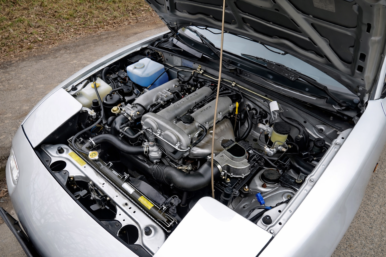 ChatGPT Image 7. März 2026, 15_29_28.png