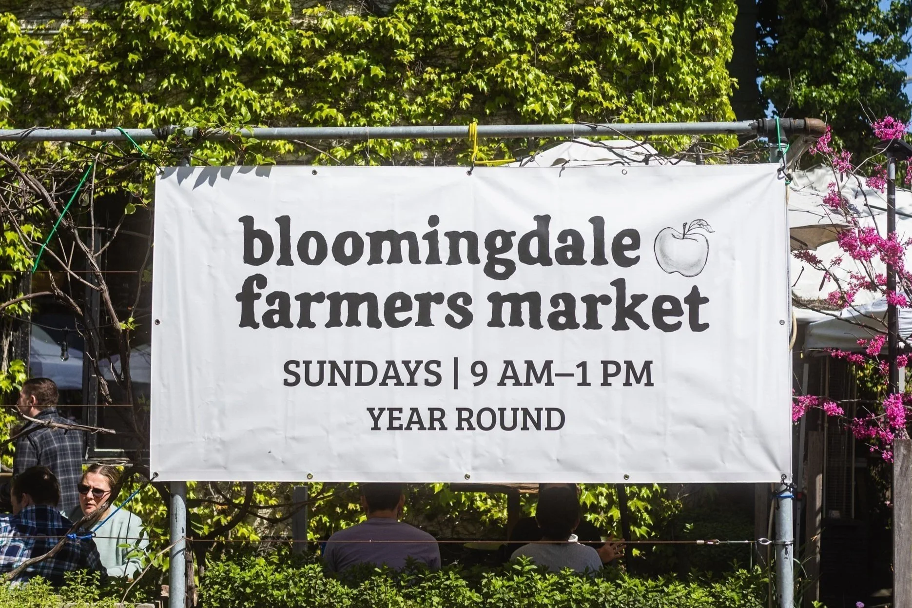 Bloomingdale Farmers Market