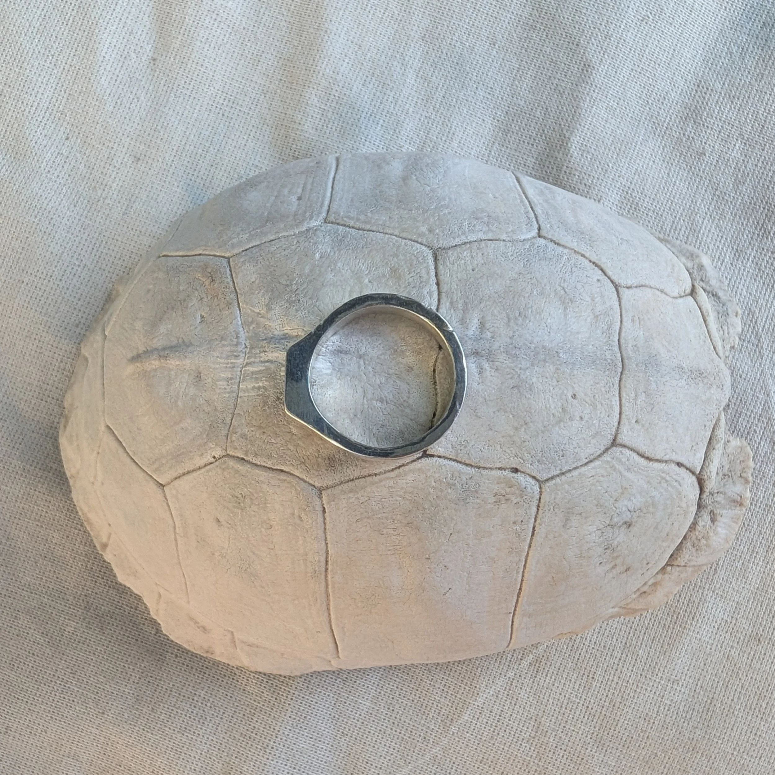 PXL_20251203_144728140.jpg