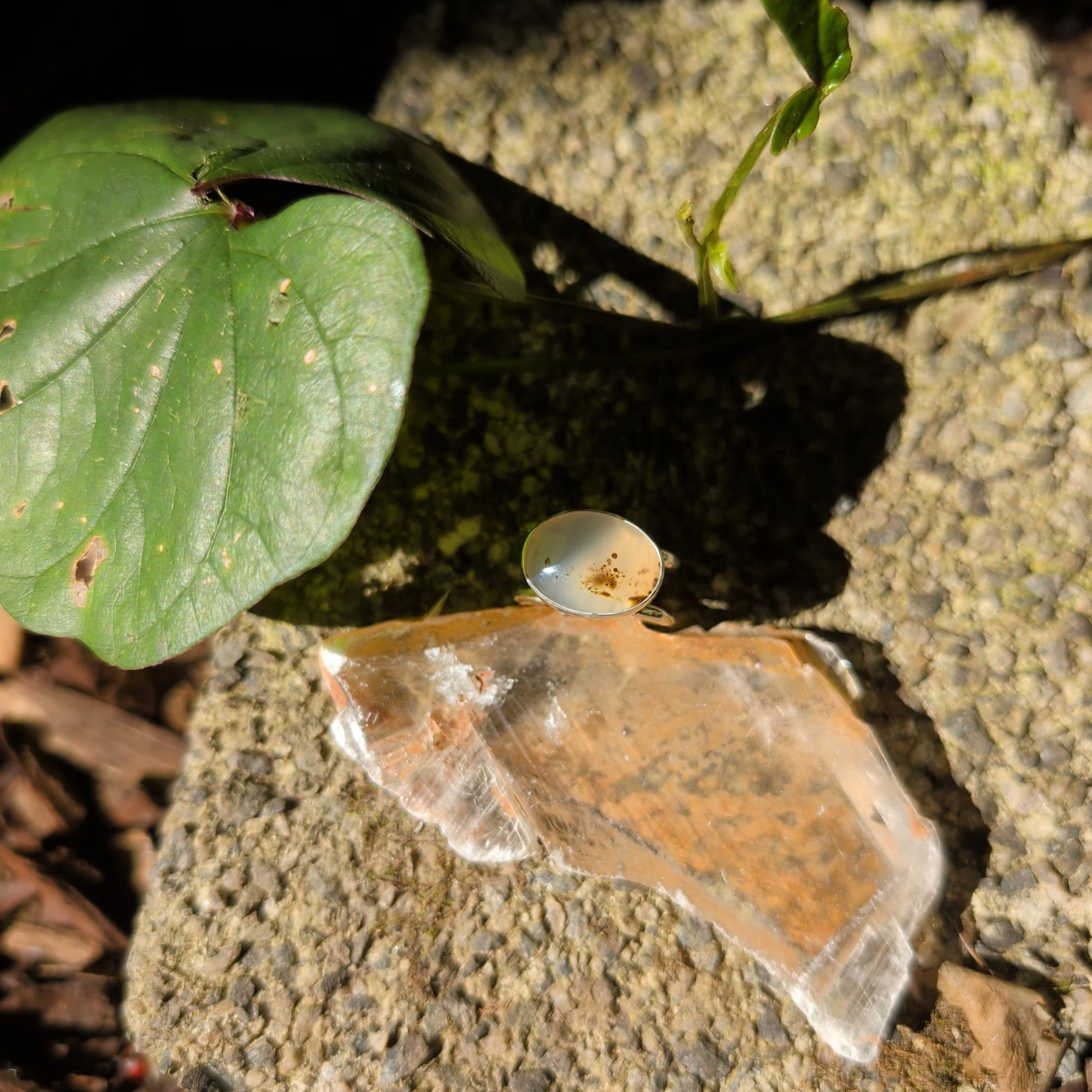 IMG_20260603_091634.jpg