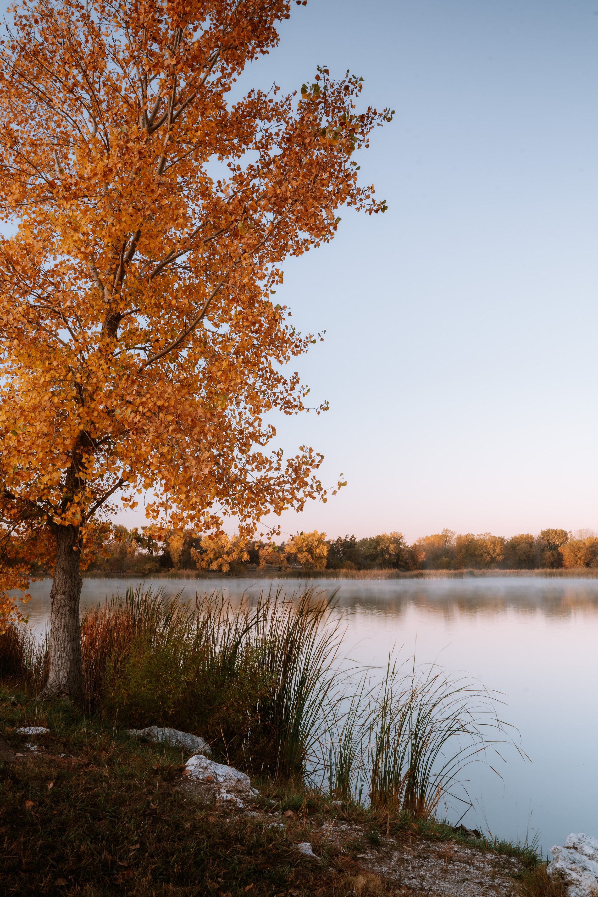 Calm Mornings on the Lake - Framed Photo Print