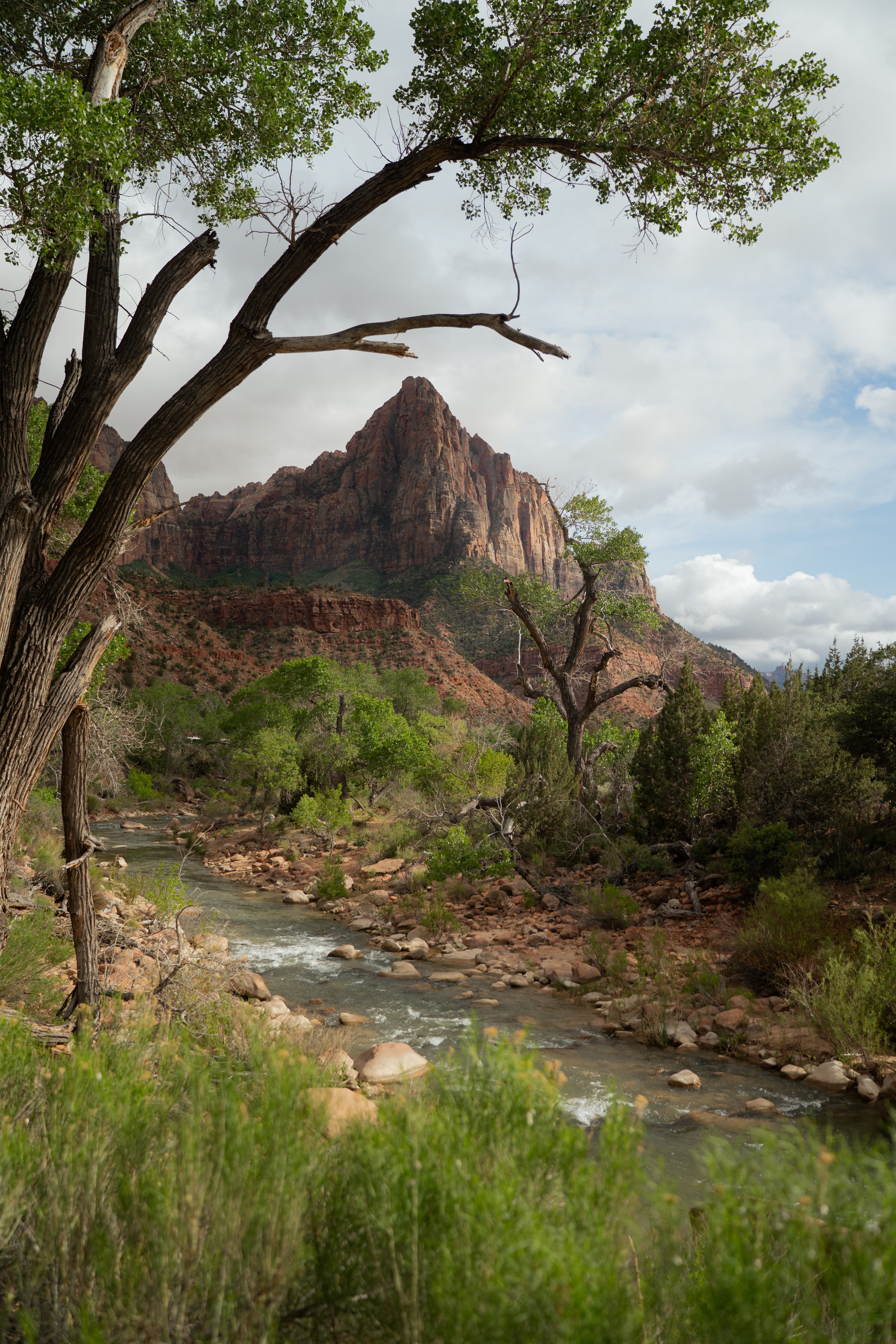 Exploring Zion National Park - Framed Photo Print